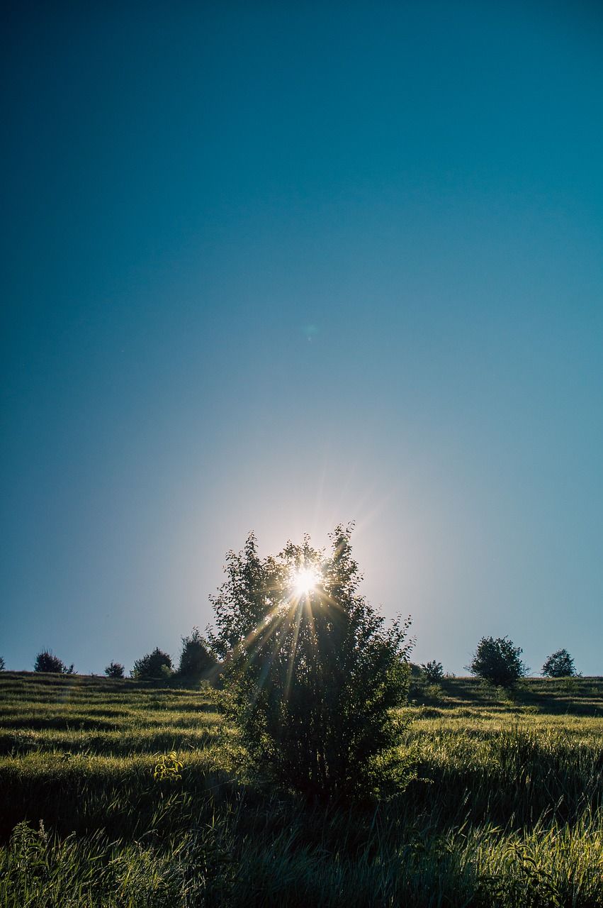  Sonne Hintergrundbild 851x1280. Morgen Sonnenaufgang Himmel Foto auf Pixabay