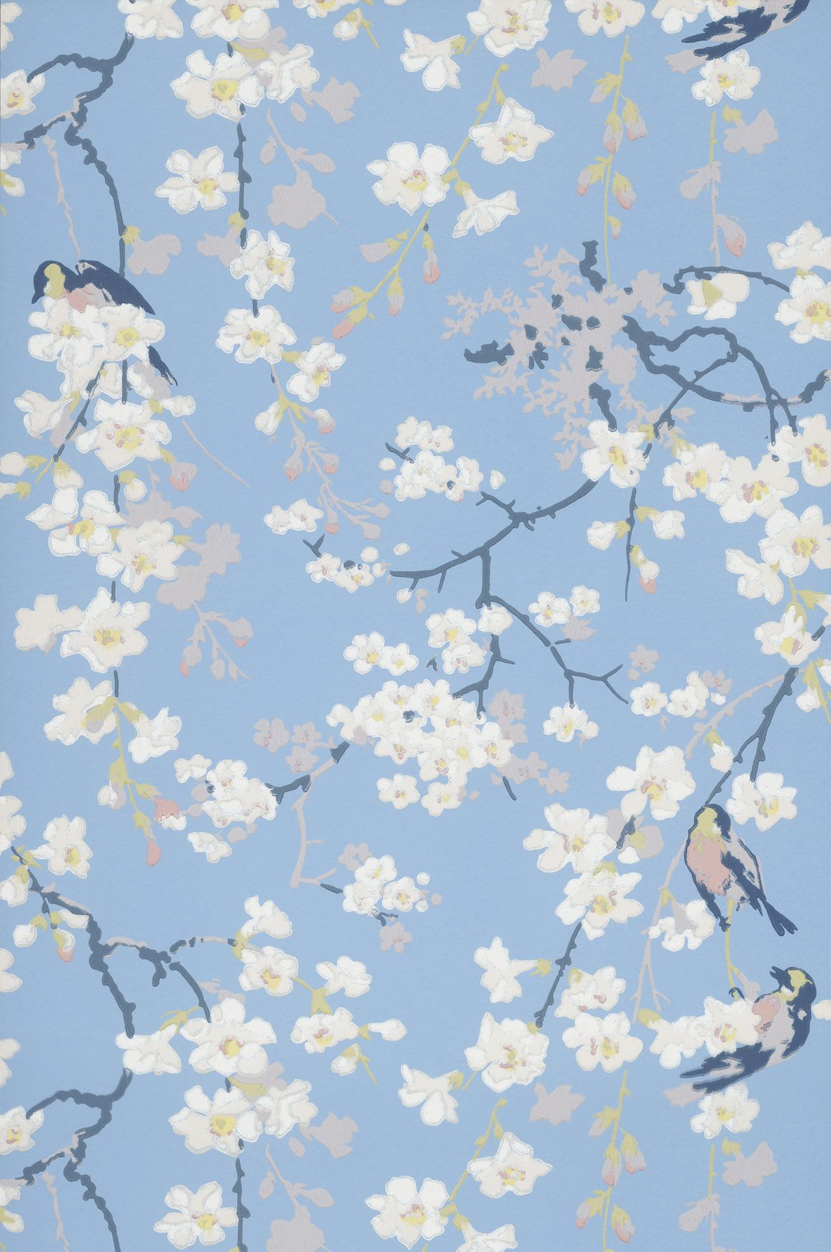  Muster Hintergrundbild 1188x1788. Massingberd Blossom, Pale Blue' Tapete kaufen
