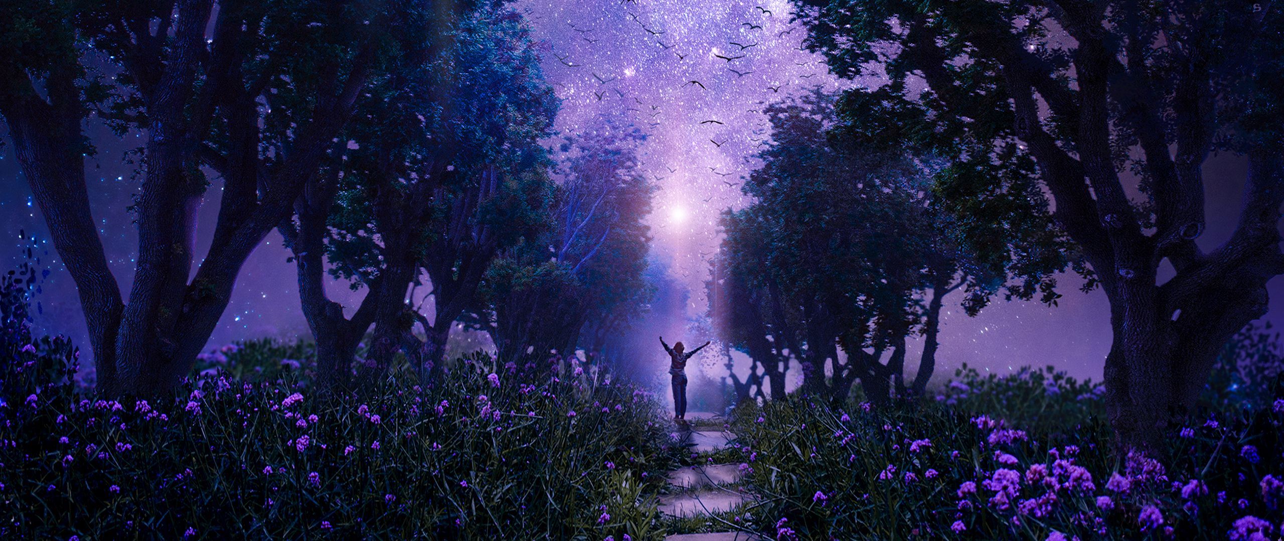 2560x1080 Hintergrundbild 2560x1080. Download wallpaper 2560x1080 forest, starry sky, art, purple, fabulous dual wide 1080p HD background