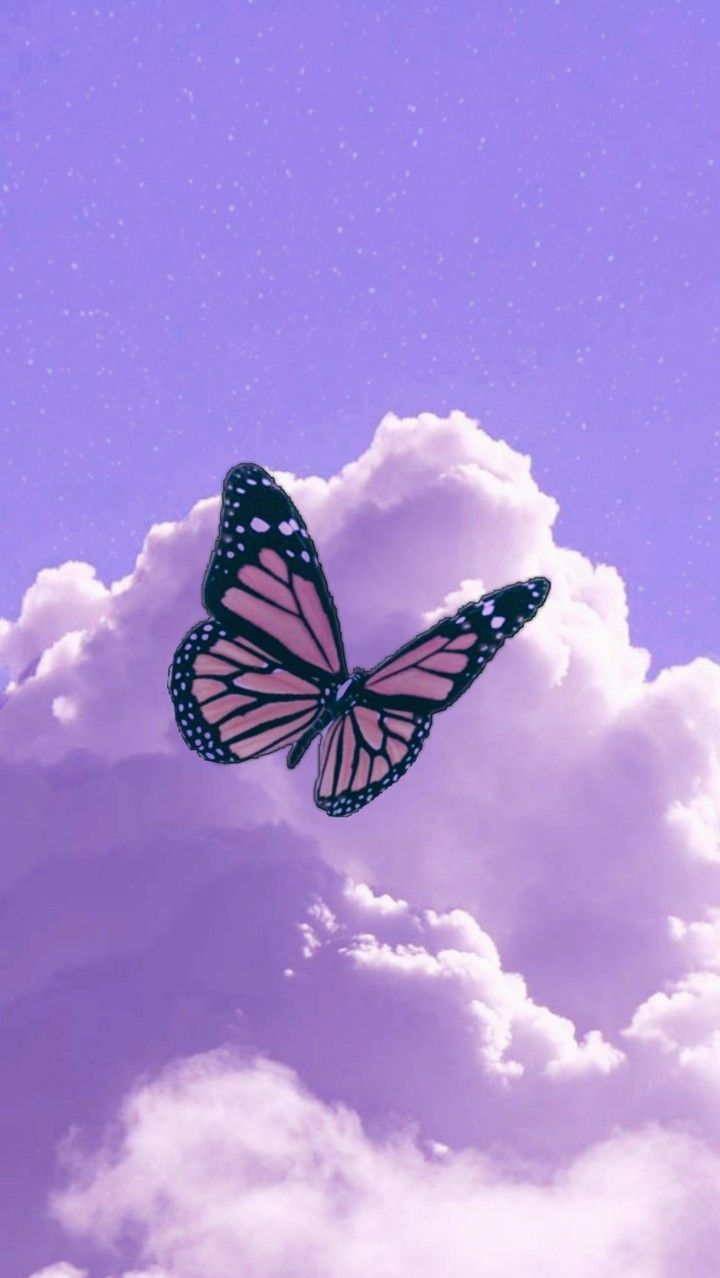  Blumen Und Schmetterlinge Hintergrundbild 720x1278. Purple butterfly wallpaper. Purple butterfly wallpaper, Butterfly wallpaper iphone, Butterfly wallpaper