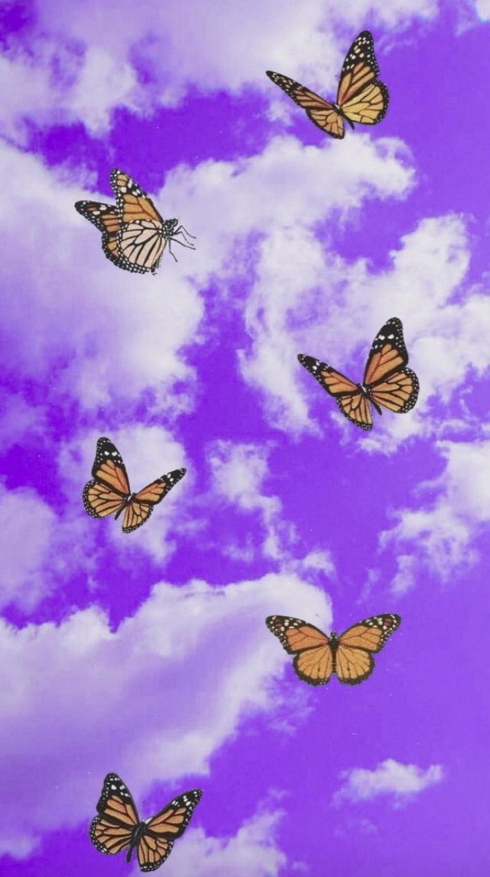  Schmetterling Hintergrundbild 710x1270. aesthetic phone wallpaper. Butterfly wallpaper, Phone wallpaper patterns, Wallpaper iphone cute