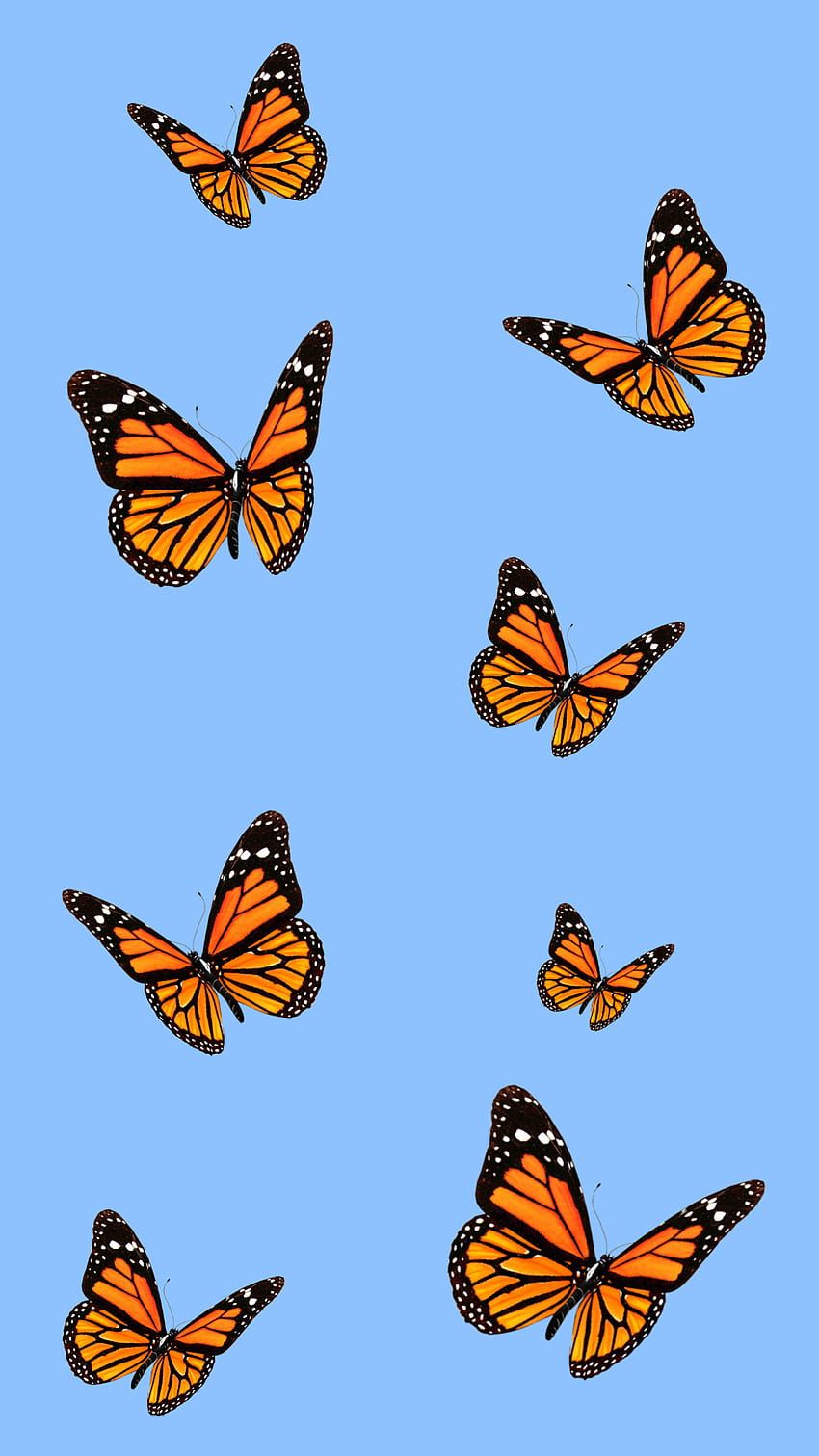  Blumen Und Schmetterlinge Hintergrundbild 850x1511. Monarchfalter, Schmetterling Vsco HD Handy Hintergrundbild