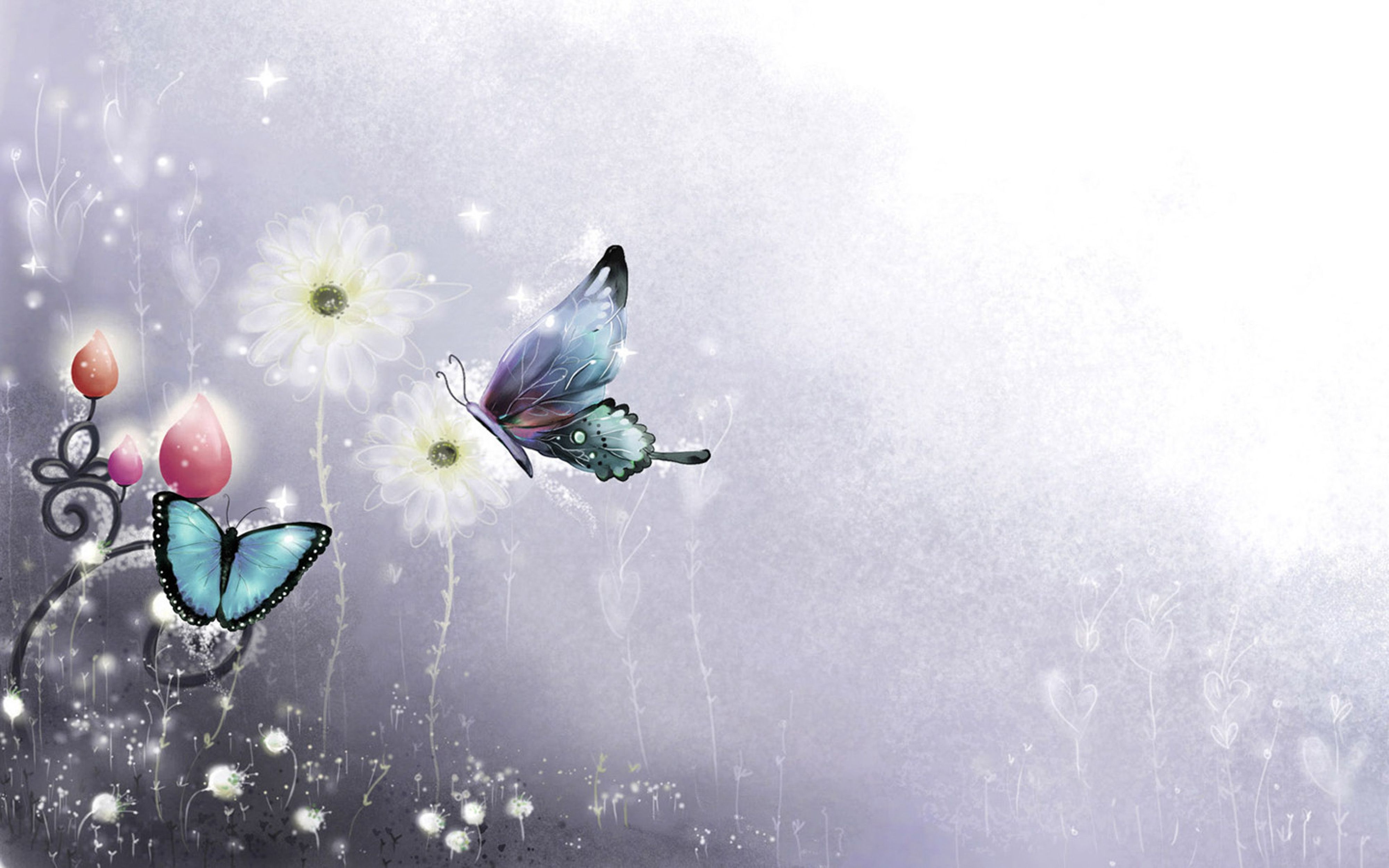  Blumen Und Schmetterlinge Hintergrundbild 4000x2500. Kostenlose Hintergrundbilder Weiße Und Violette Blume Mit Schmetterling Oben, Bilder Für Ihren Desktop Und Fotos
