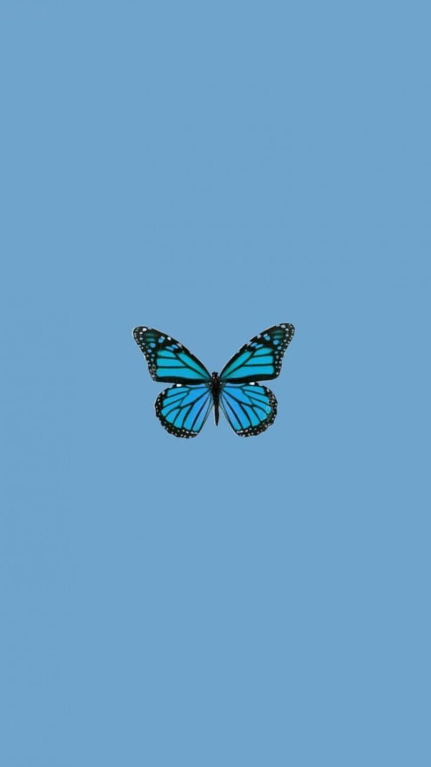  Blumen Und Schmetterlinge Hintergrundbild 850x1511. Ästhetisch, Einfach, Schmetterling, , Einfaches Koreanisch HD Handy Hintergrundbild