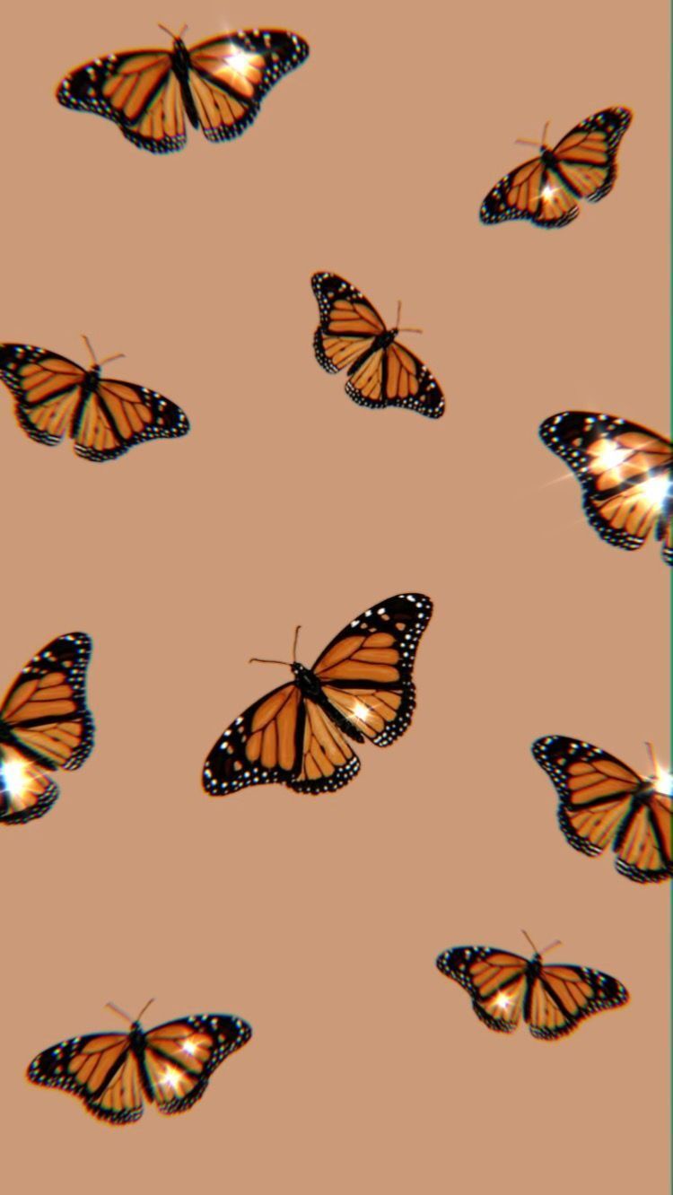  Blumen Und Schmetterlinge Hintergrundbild 750x1332. butterfly aesthetic wallpaper. Aesthetic iphone wallpaper, Butterfly wallpaper iphone, Orange wallpaper