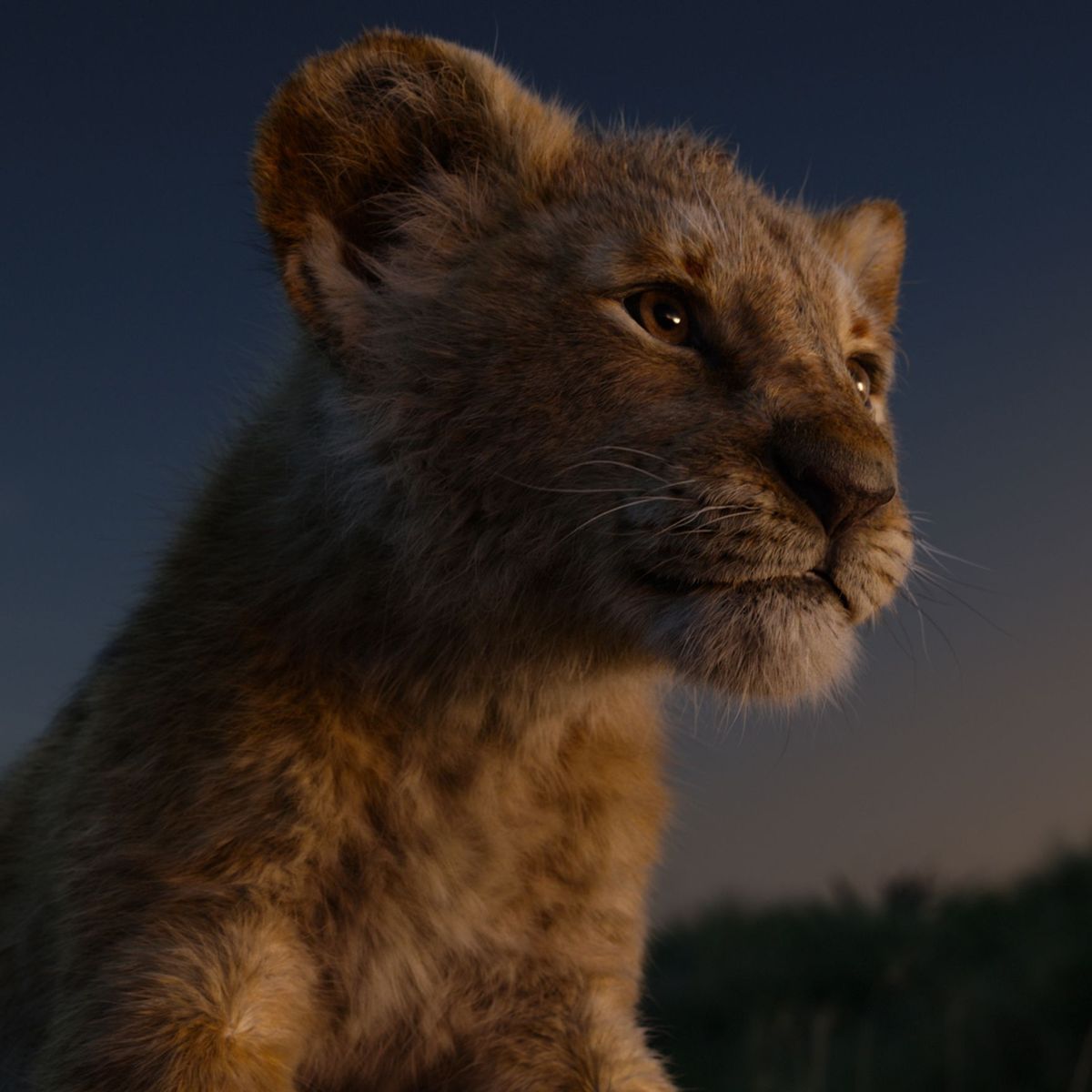  Löwen Hintergrundbild 1200x1200. Der König der Löwen (2019): Packend, aber unpolitisch- Filmkritik
