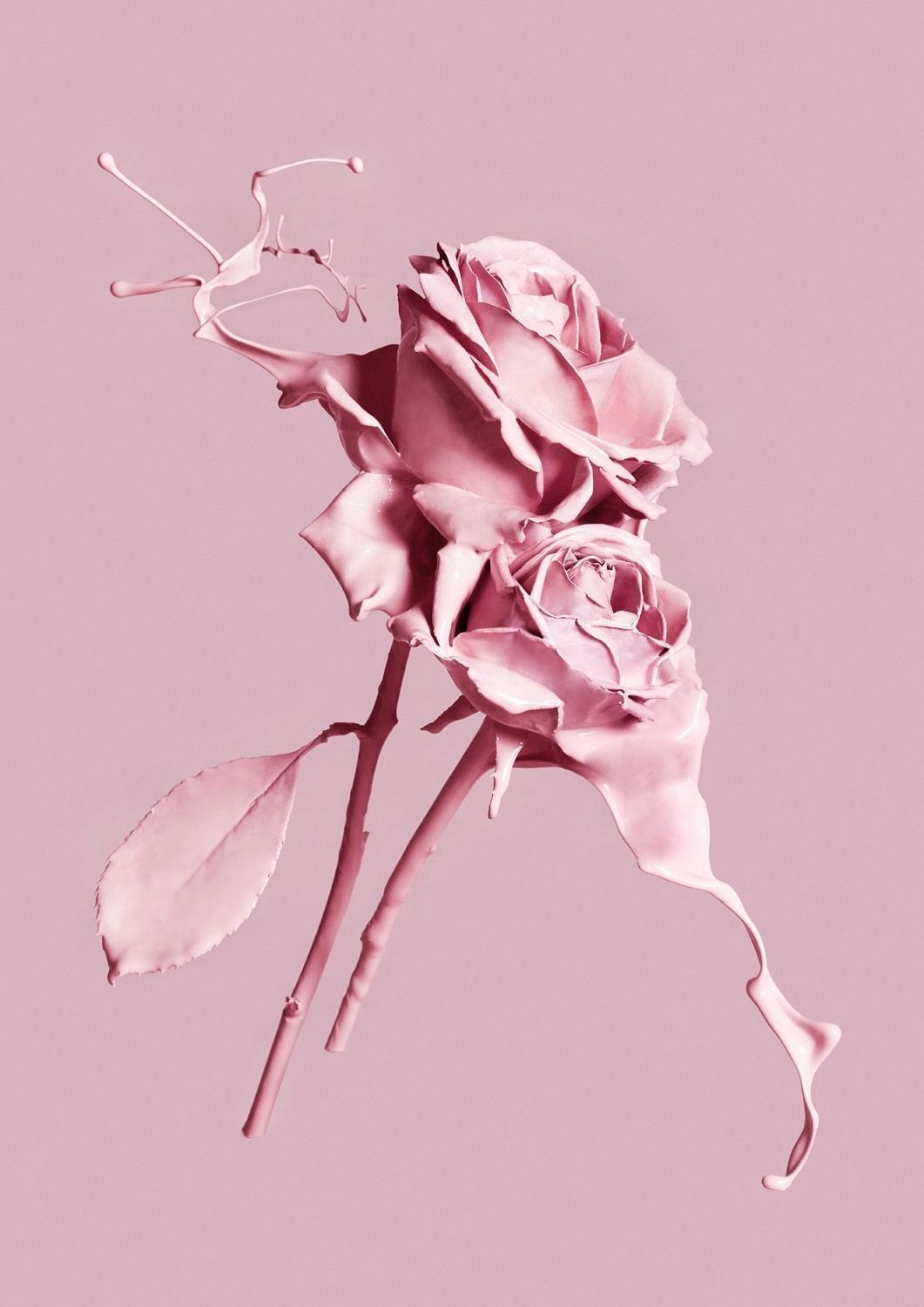  Rosen Hintergrundbild 1061x1500. Sweet Pink Wallpaper Group Picture. Rose wallpaper, Pink wallpaper, Aesthetic roses