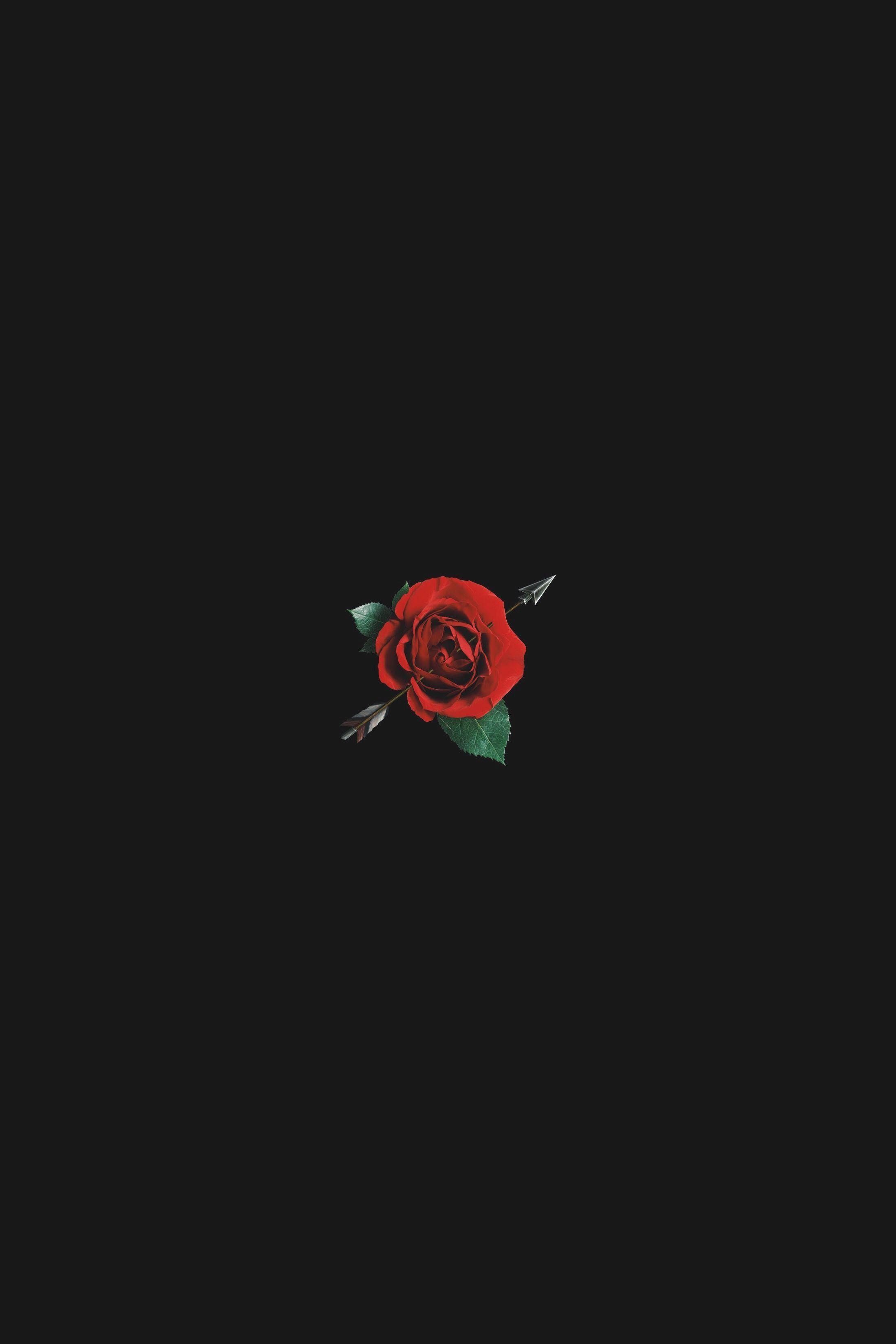  Rosen Hintergrundbild 2200x3300. Free download Dark Aesthetic Rose Blurry Rose Wallpaper [2200x3300] for your Desktop, Mobile & Tablet. Explore Red Roses Aesthetic Wallpaper. Red Roses Wallpaper, Red Roses Black Background, Red Roses Background