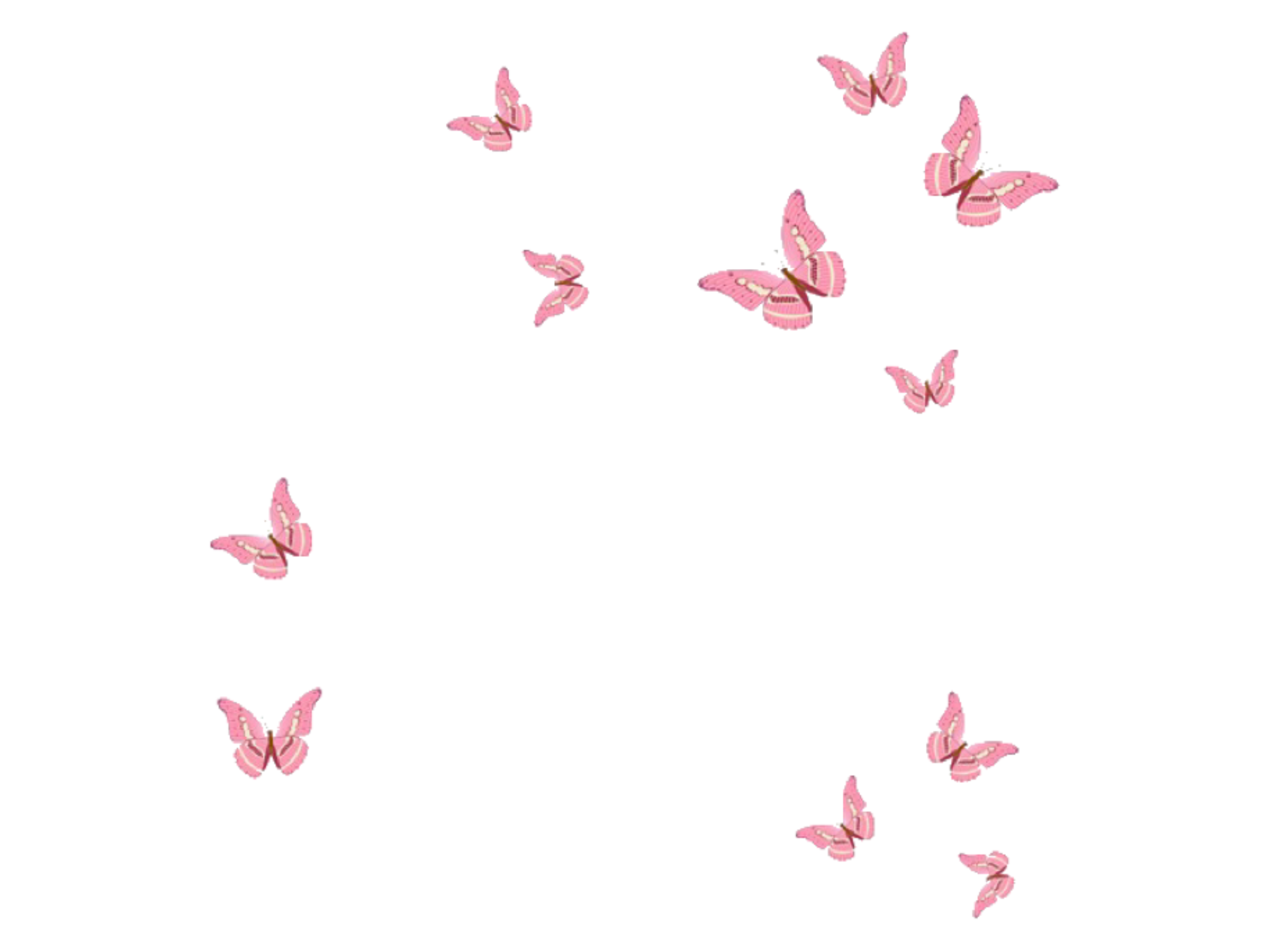  Transparent Hintergrundbild 2048x1536. Butterfly Aesthetic Wallpaper HD