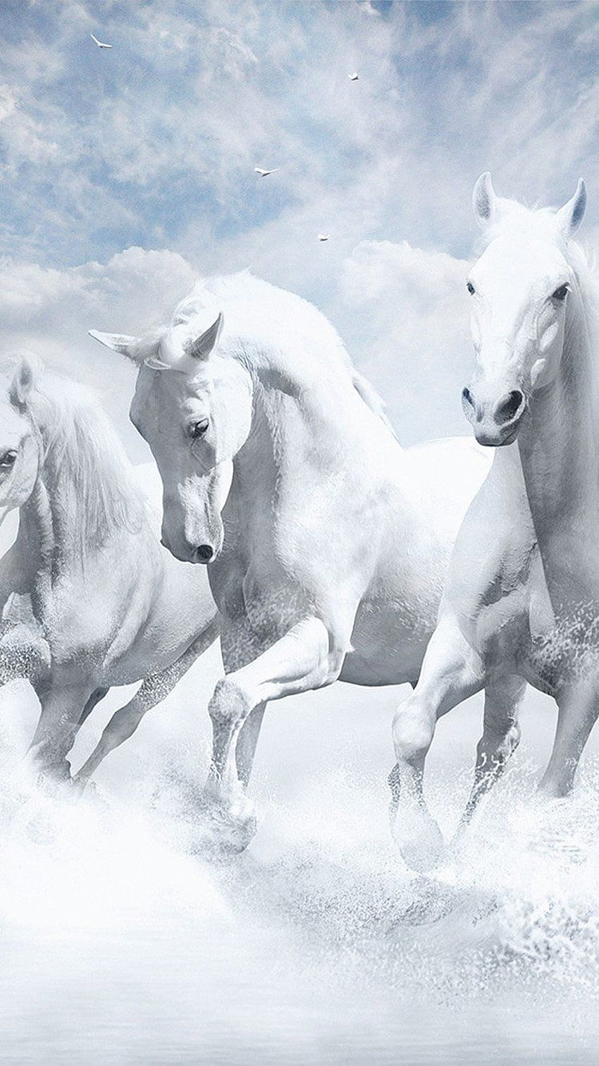  Pferde Im Schnee Hintergrundbild 850x1512. Pin von NikklaDesigns auf Horse. Pferde tapete, Weiße pferde, Ausgestopftes tier HD phone wallpaper