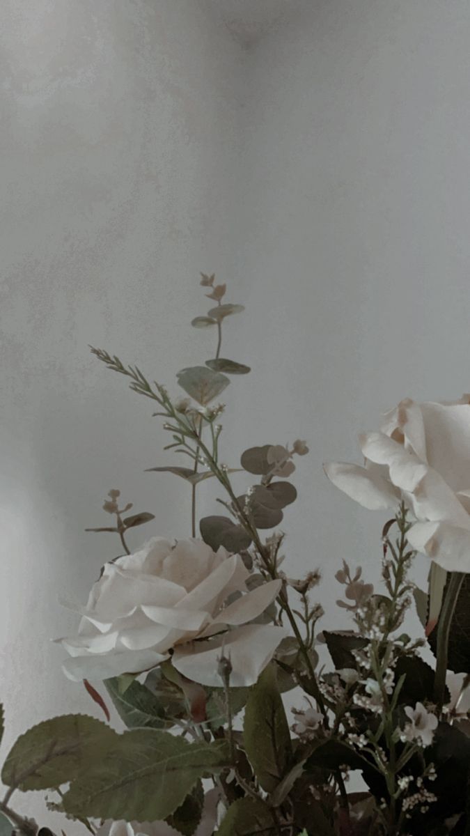  Blumen Schwarz Weiß Hintergrundbild 675x1200. White roses
