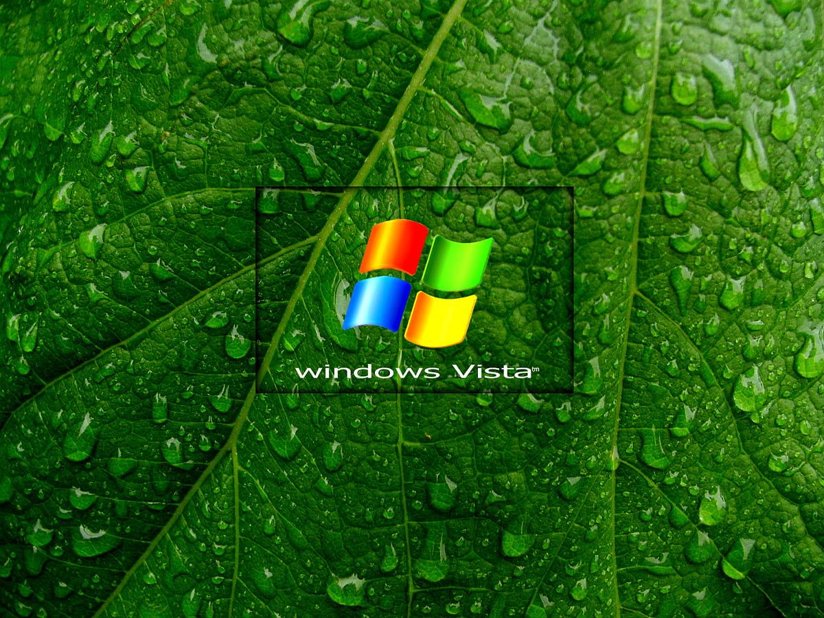  Windows Vista Hintergrundbild 1200x900. Background Windows Vista, Green, Nature. TOP Free picture