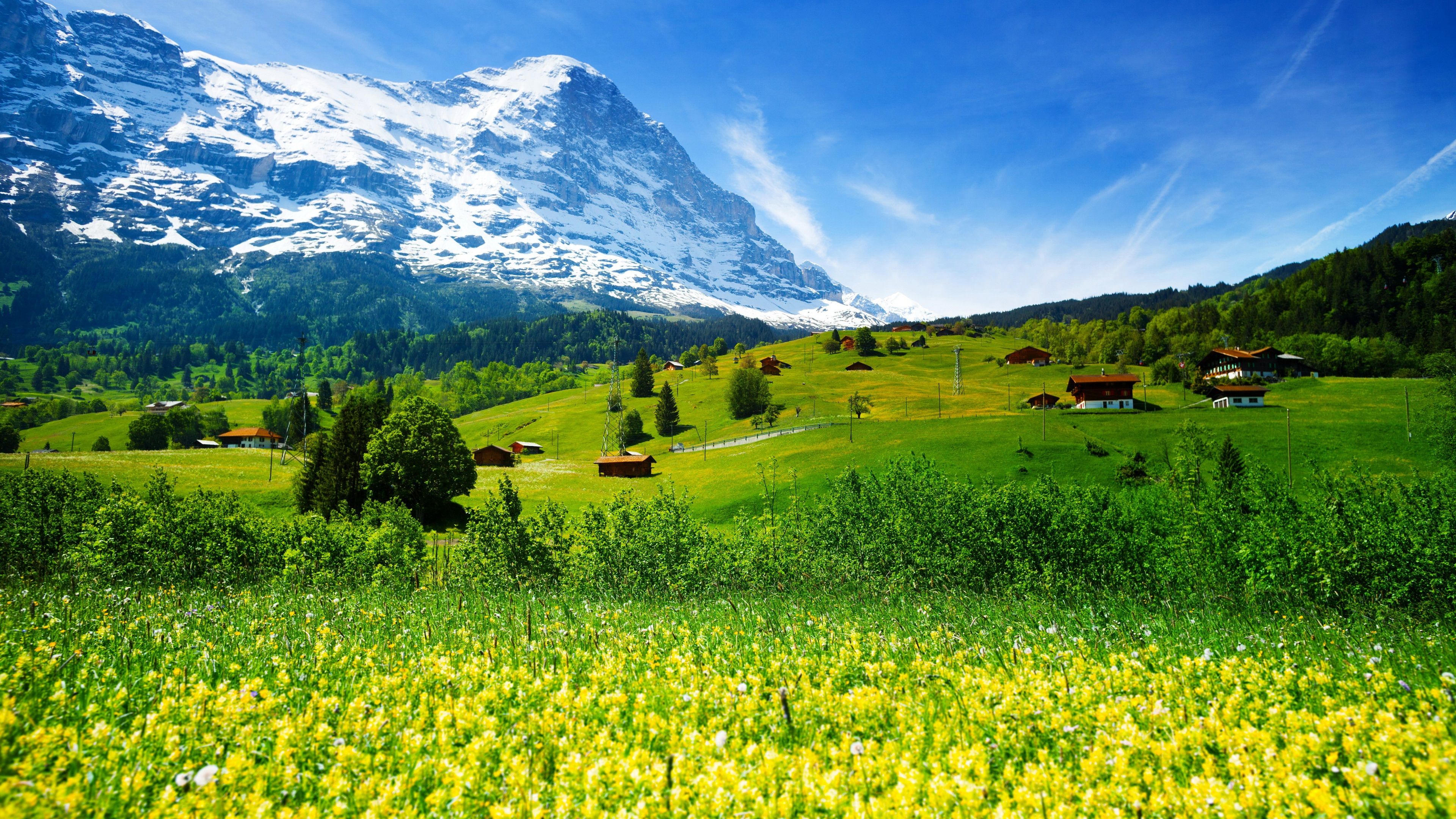  Schweiz Hintergrundbild 3840x2160. Schweiz, Berge, Gletscher Tal, Gras, Wildblumen, Haus 3840x2160 UHD 4K Hintergrundbilder, HD, Bild