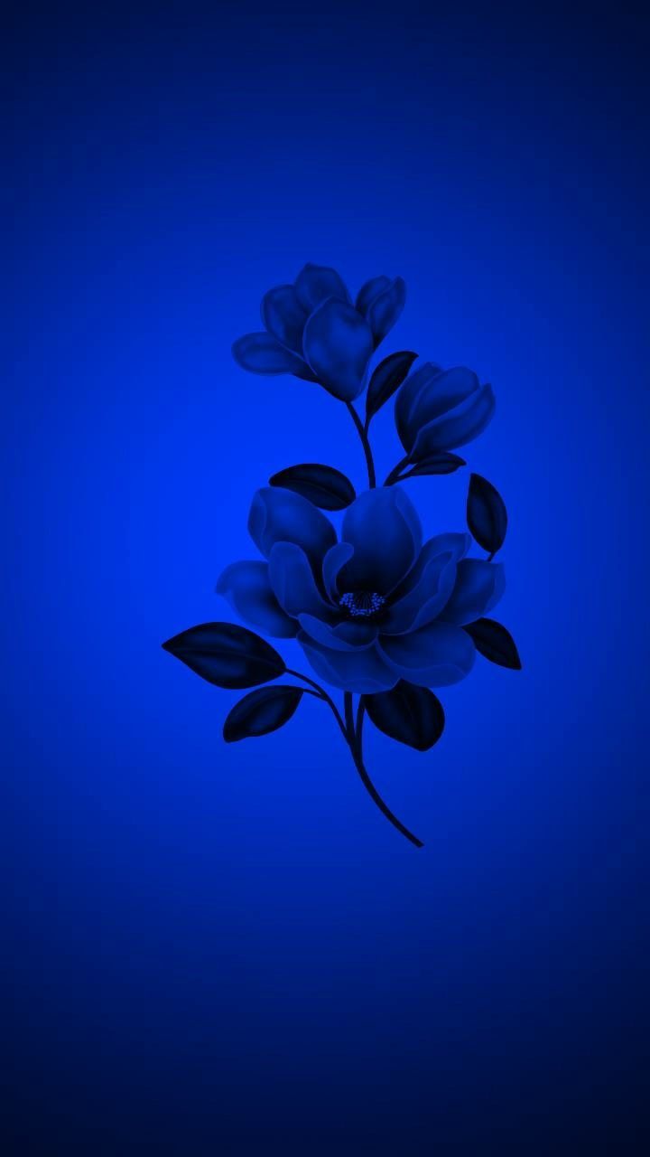  Blumen Blau Hintergrundbild 720x1280. tashac704 on pop out. Blue aesthetic dark, Blue aesthetic, Blue wallpaper