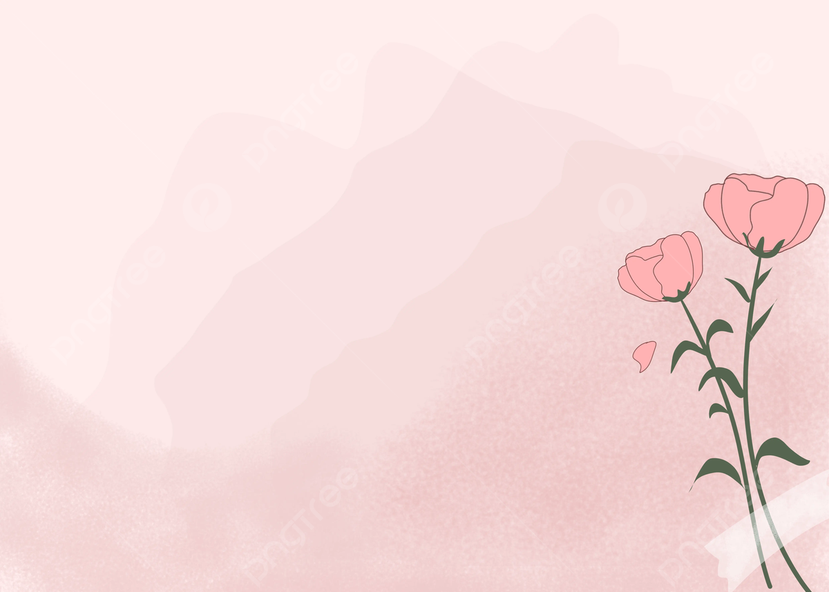  Rosa Rosen Hintergrundbild 1200x857. Ästhetische Tapete Schöner Rosenblüten Rosa Hintergrund, Rosa Tapeten, Blumentapeten, ästhetisch Hintergrund, Foto und Bild zum kostenlosen Download