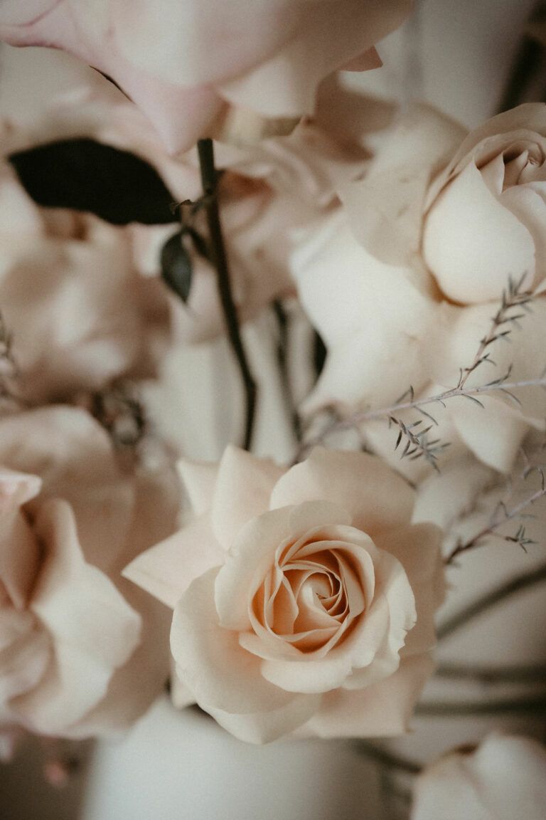  Rosa Rosen Hintergrundbild 768x1152. Die schönsten Blumen für die Hochzeit: Rosa Rosen