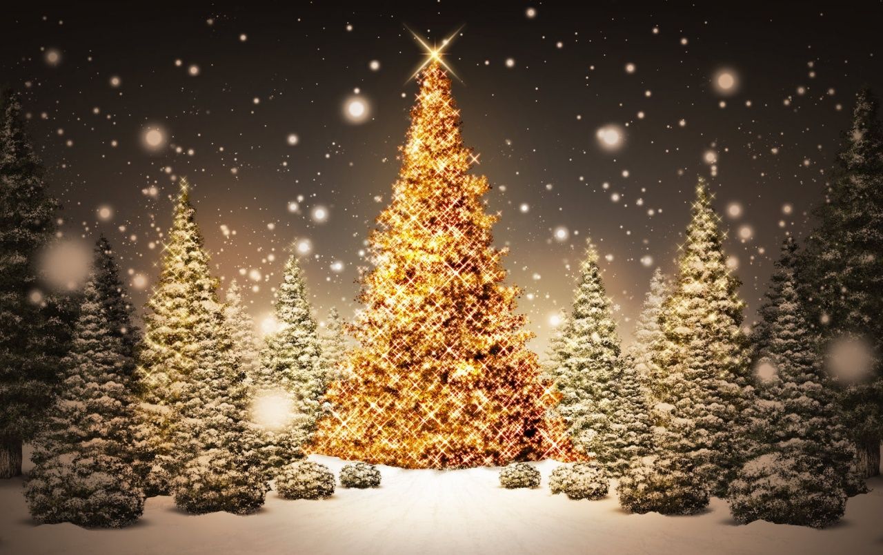  Weihnachtsbaum Hintergrundbild 1280x804. Weihnachtsbaum Wallpaper