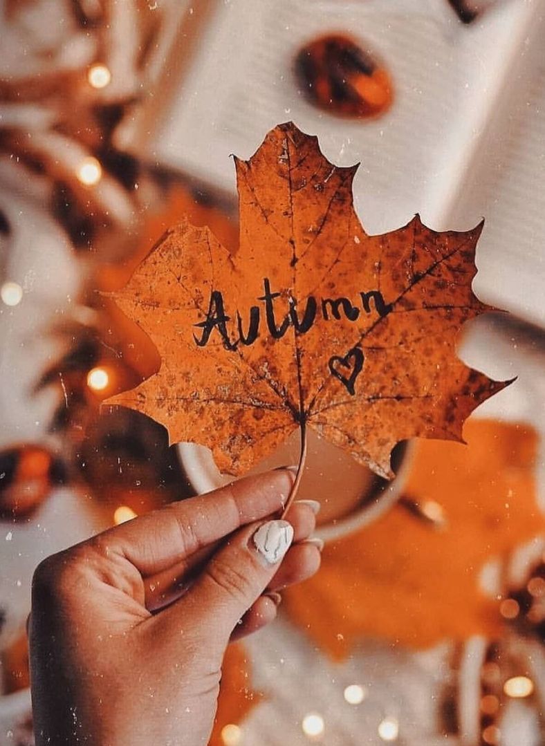  Herbstliche Hintergrundbild 788x1079. presh