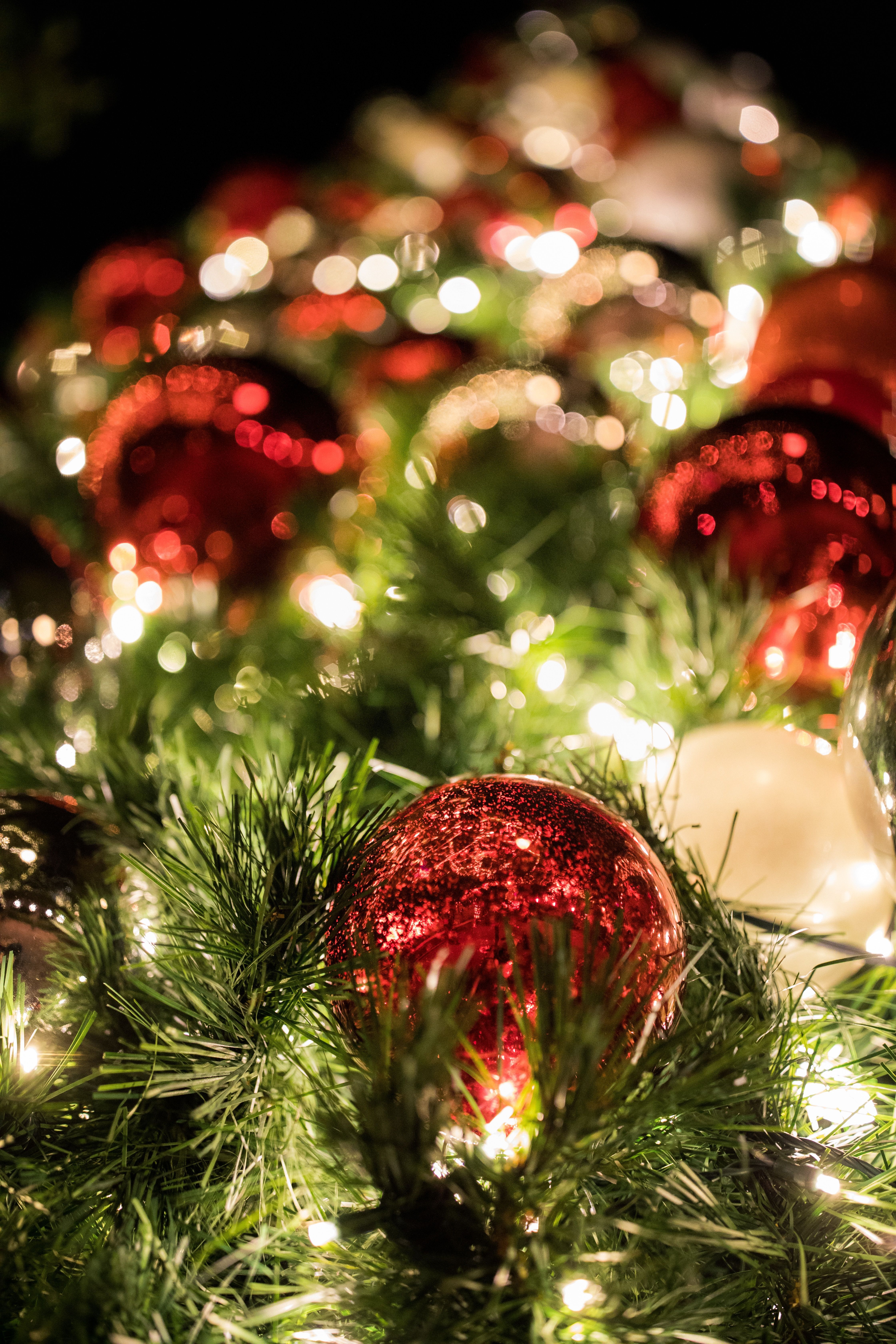  Weihnachtsbaum Hintergrundbild 4480x6720. Kostenlose Hintergrundbilder Rot Goldene Kugeln Auf Grünem Weihnachtsbaum, Bilder Für Ihren Desktop Und Fotos