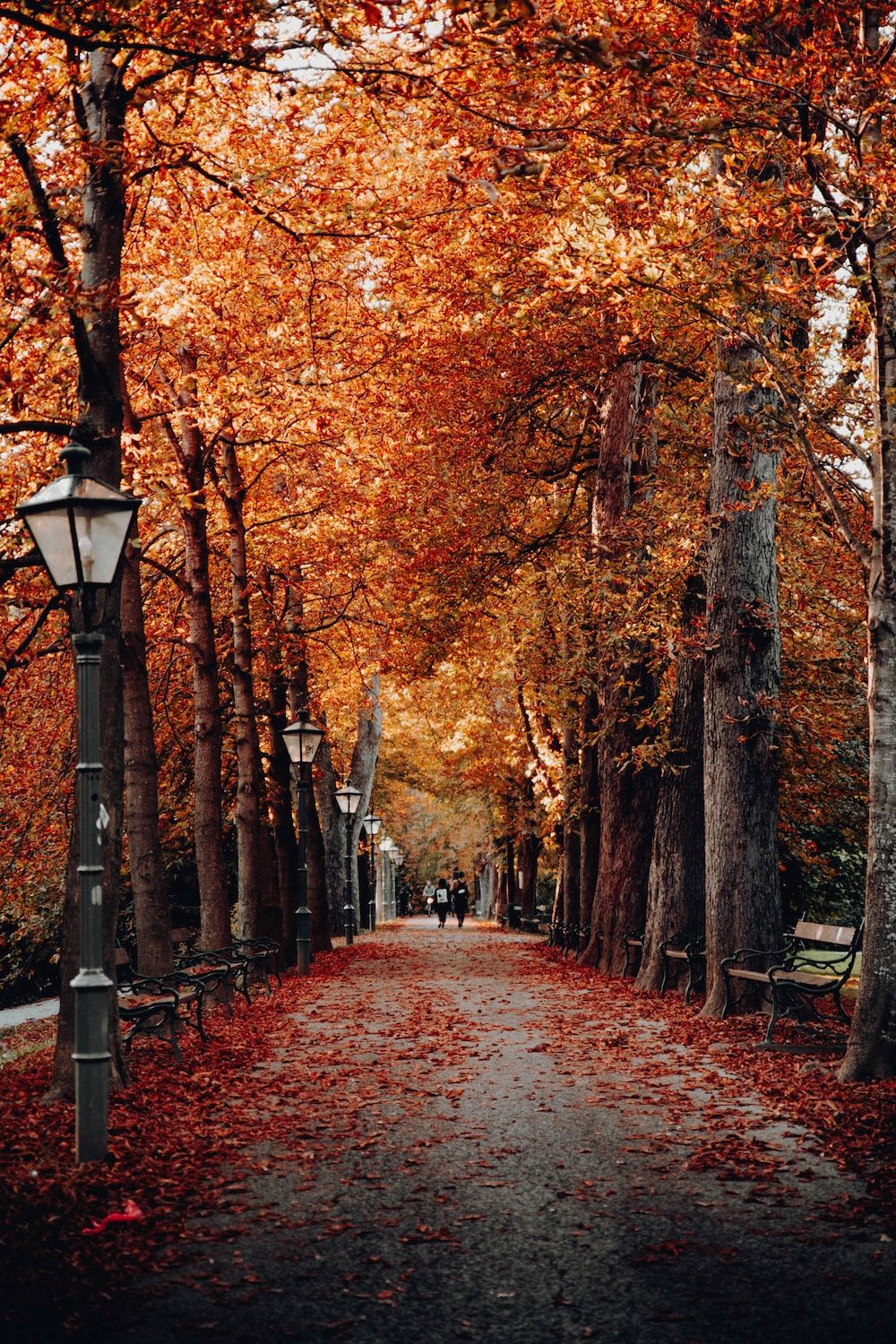  Herbstliche Hintergrundbild 1000x1500. Herbst Hintergrundbilder: Kostenloser HD Download [HQ]