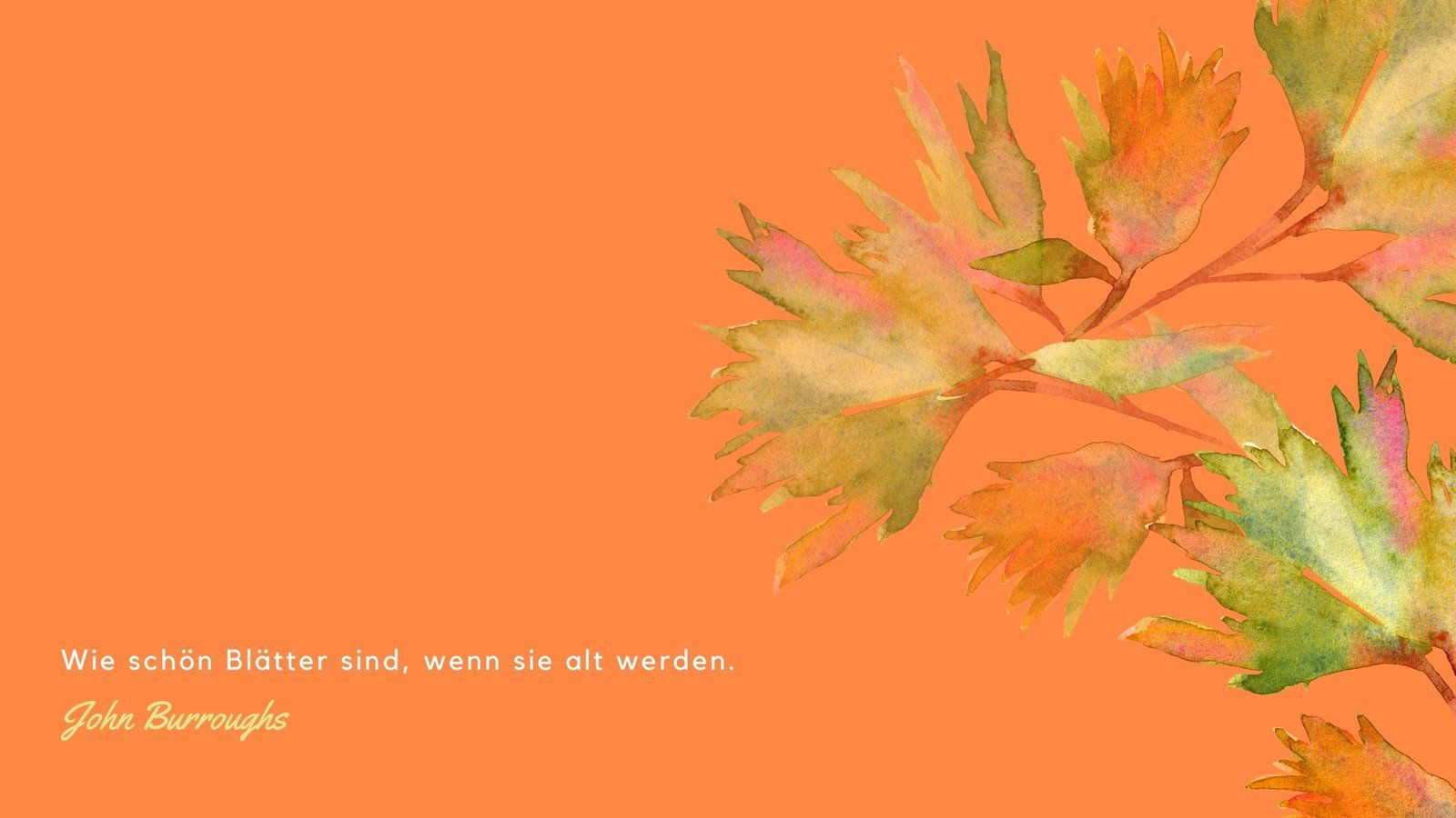  Herbstliche Hintergrundbild 1600x900. Kostenlos Anpassbare Herbst Hintergrundbilder
