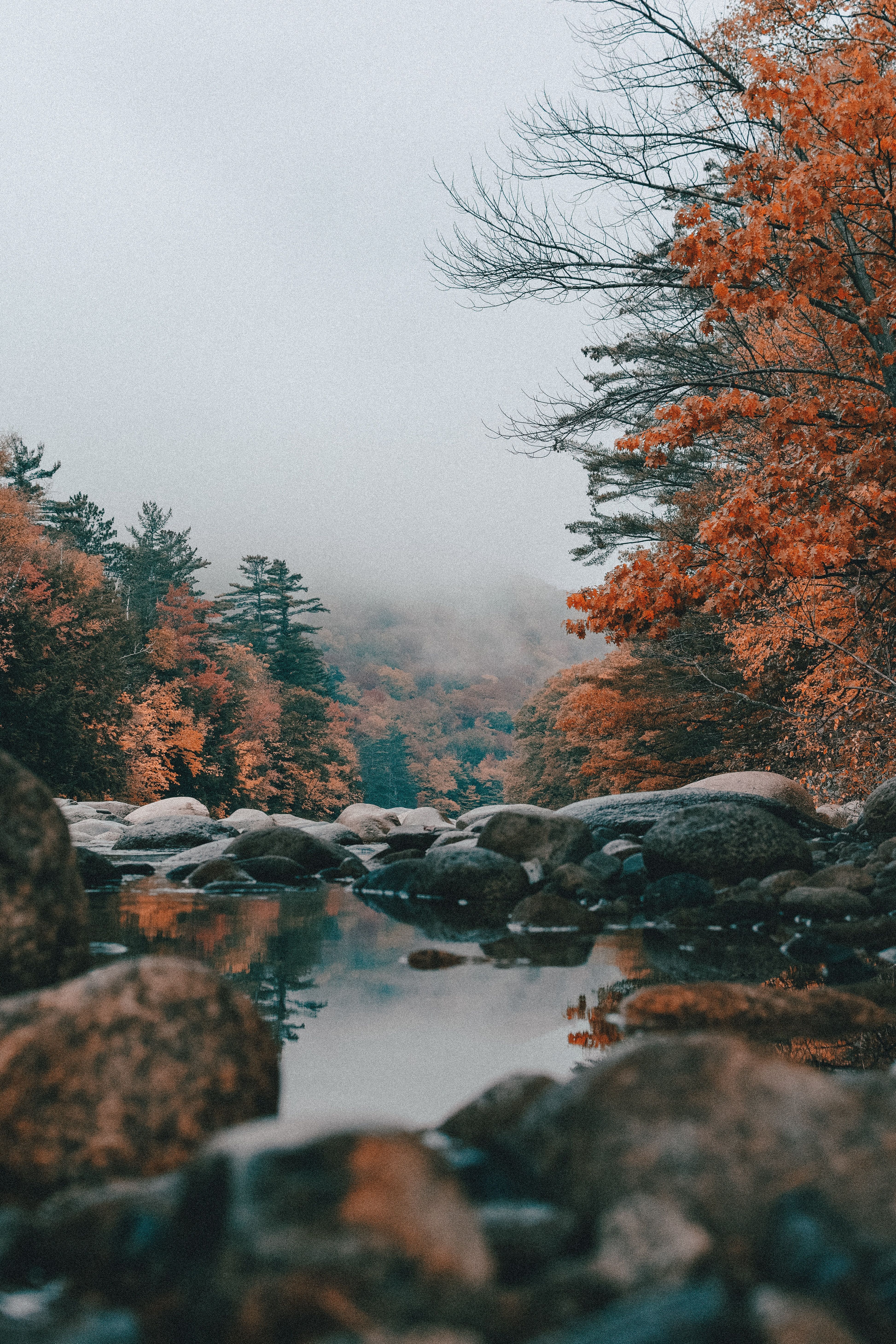  Herbstliche Hintergrundbild 3892x5838. Fotografieren im Herbst