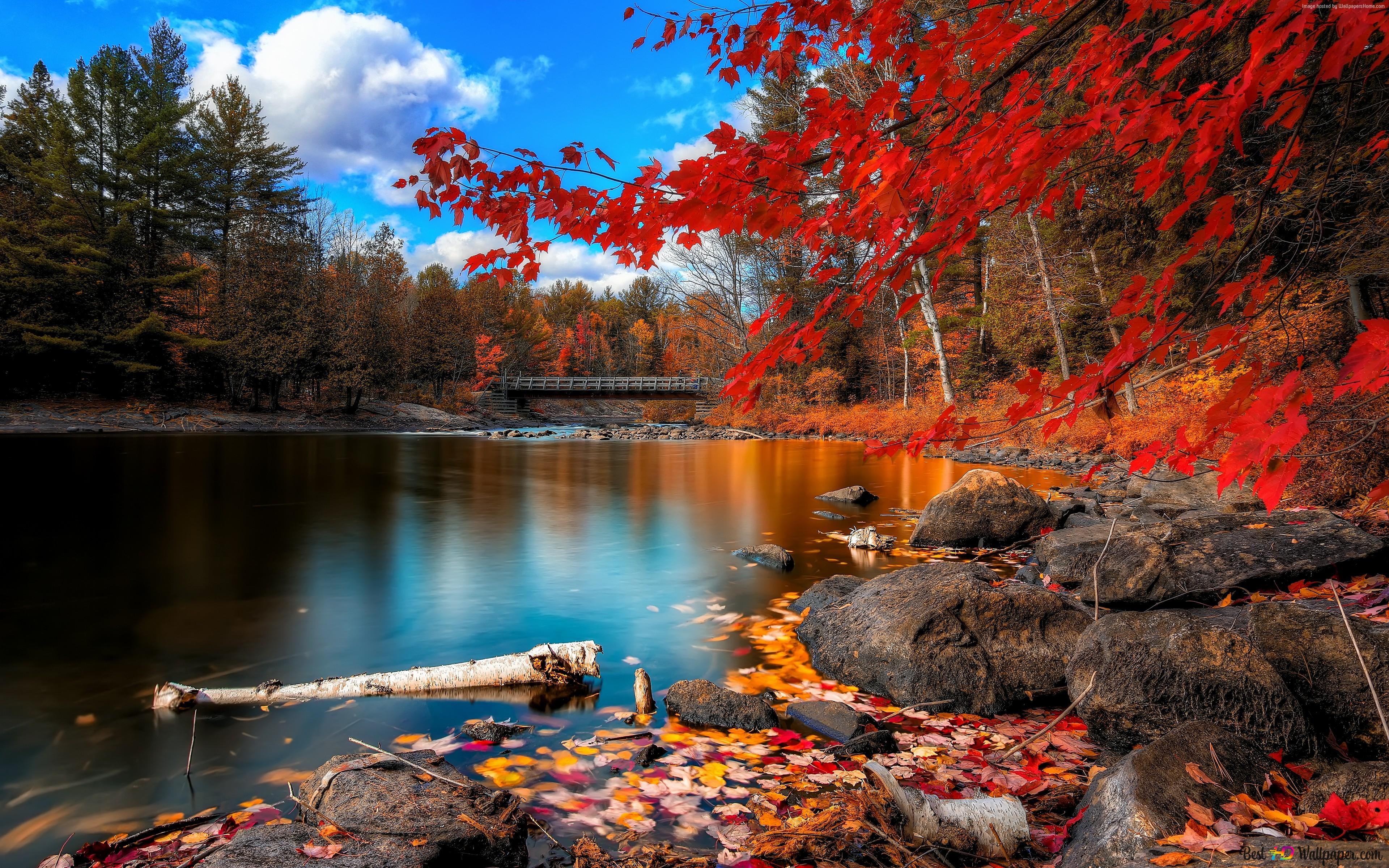  Herbstliche Hintergrundbild 3840x2400. Schöne Aussicht auf die Herbstsaison 4K Hintergrundbild herunterladen