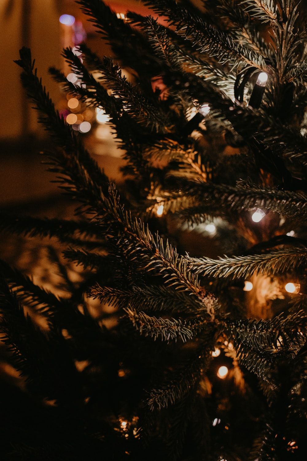 Weihnachtsbaum Hintergrundbild 1000x1500. Foto zum Thema Grüner Weihnachtsbaum mit Lichterketten