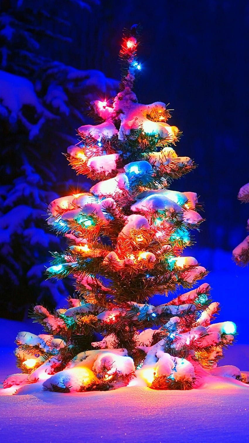  Weihnachtsbaum Hintergrundbild 850x1511. Nicht nur feierlich, sondern auch zu Weihnachten. Weil ein, Christmas Lights Aesthetic HD phone wallpaper