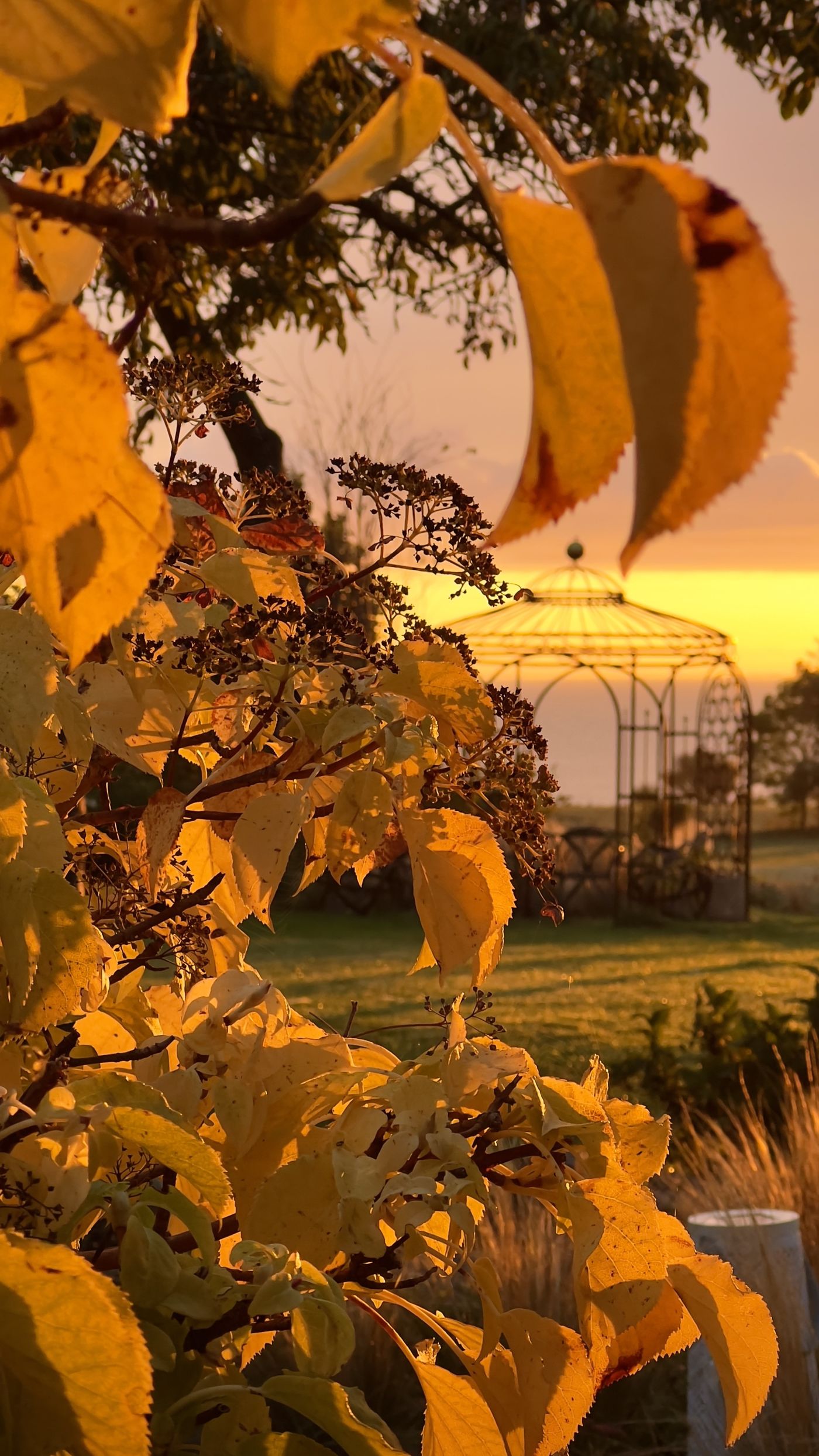  Herbstliche Hintergrundbild 1400x2489. Die schönsten Ideen für deine Herbstdeko!