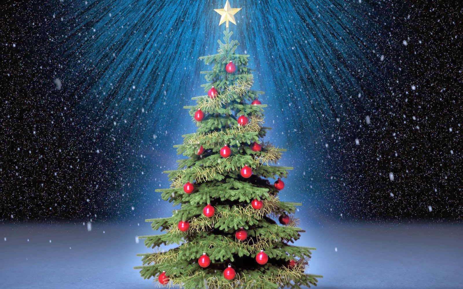  Weihnachtsbaum Hintergrundbild 1600x1000. Weihnachtsbaum Wallpaper
