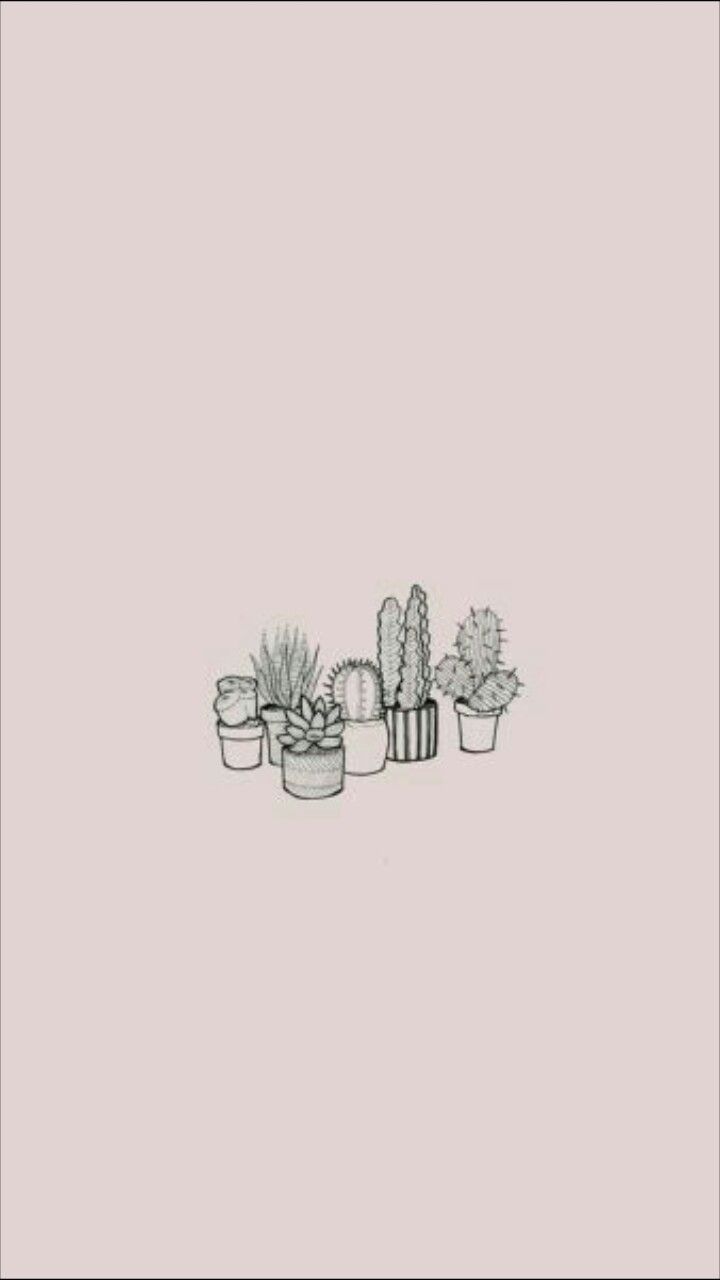  Kaktus Hintergrundbild 720x1280. Cactus fond rose pale. Thought wallpaper, Cute simple wallpaper, Wallpaper background