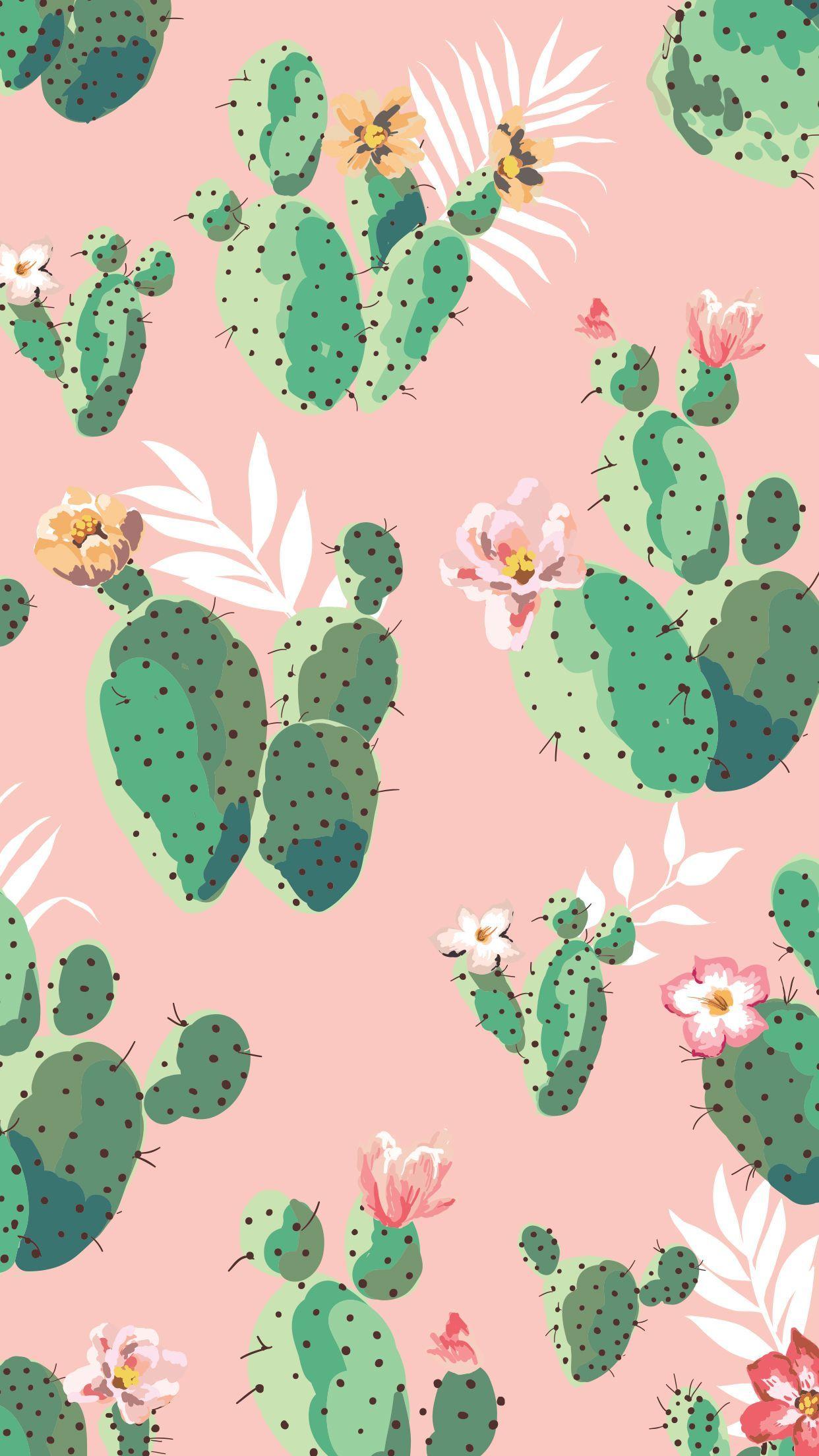  Kaktus Hintergrundbild 1242x2208. Green Cactus Wallpaper Free Green Cactus Background