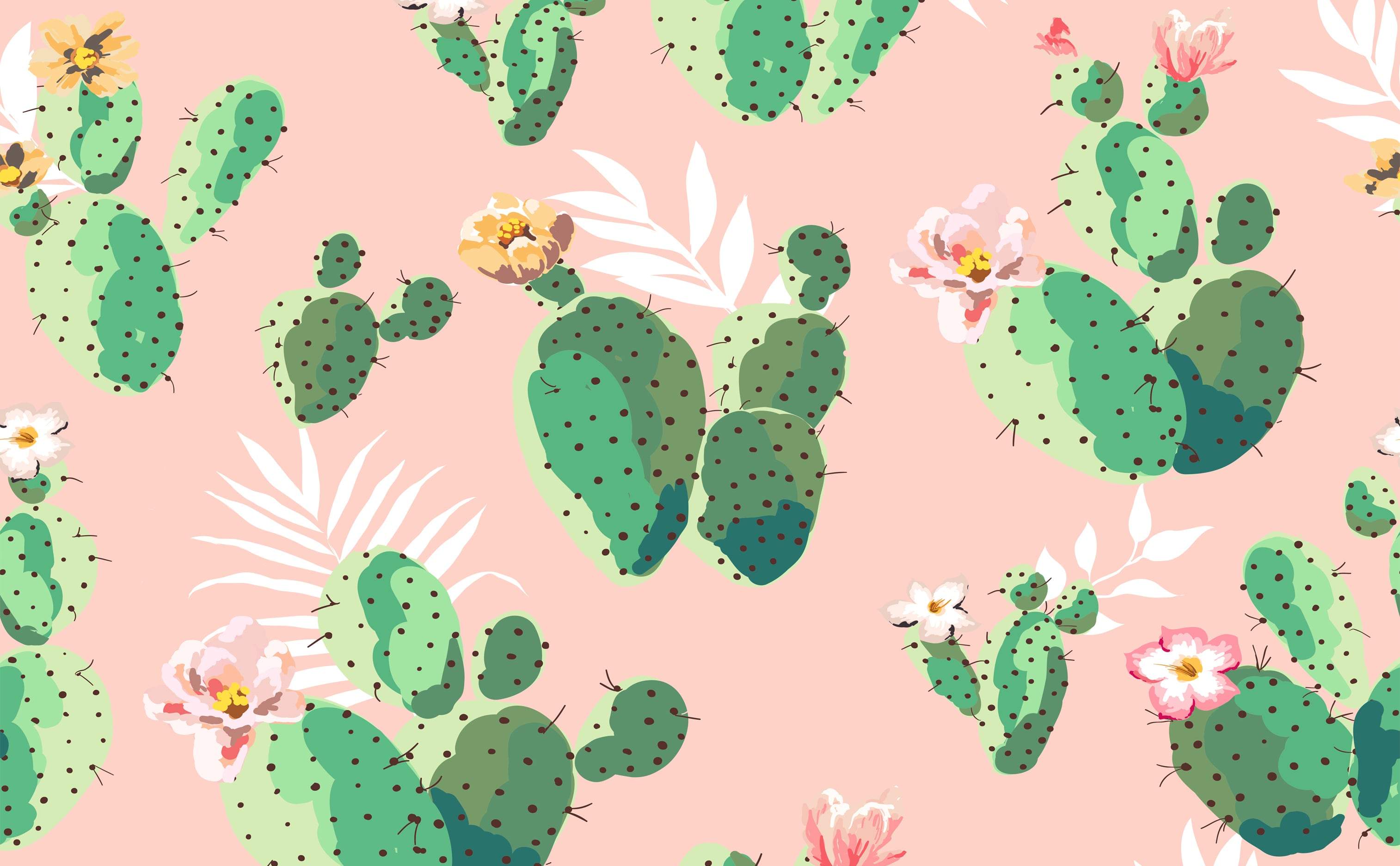  Kaktus Hintergrundbild 3028x1872. Cactus Wallpaper