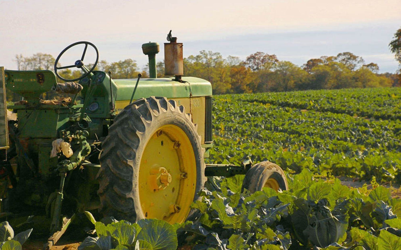  Traktor Hintergrundbild 1680x1050. Farm Tractor Wallpaper