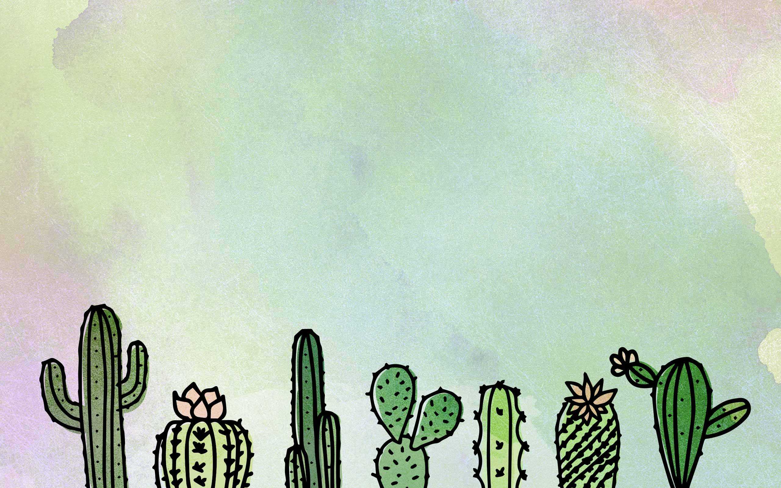  Kaktus Hintergrundbild 2560x1600. Aesthetic Cactus Wallpaper