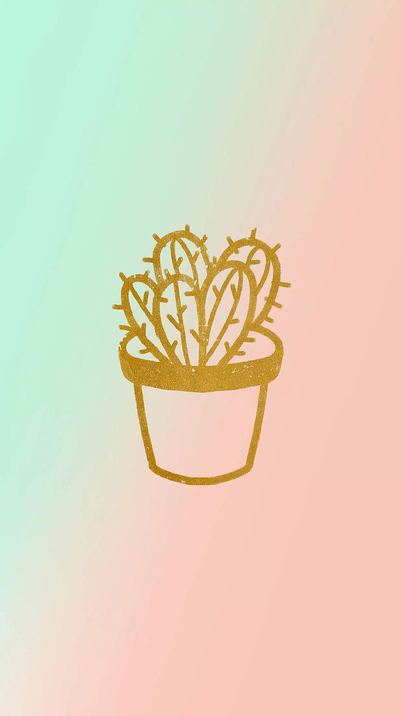  Kaktus Hintergrundbild 800x1422. Cactus, cactus, green, pastel, pink, plant, HD phone wallpaper