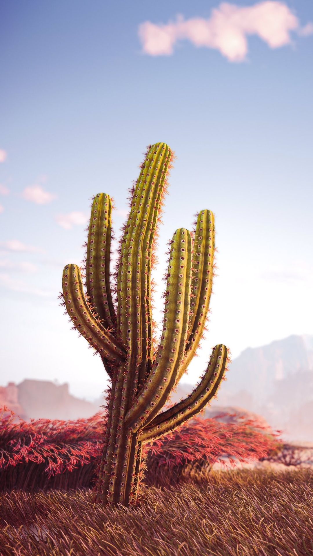  Kaktus Hintergrundbild 1080x1920. Cactus Wallpaper Cactus Wallpaper [ HQ ]