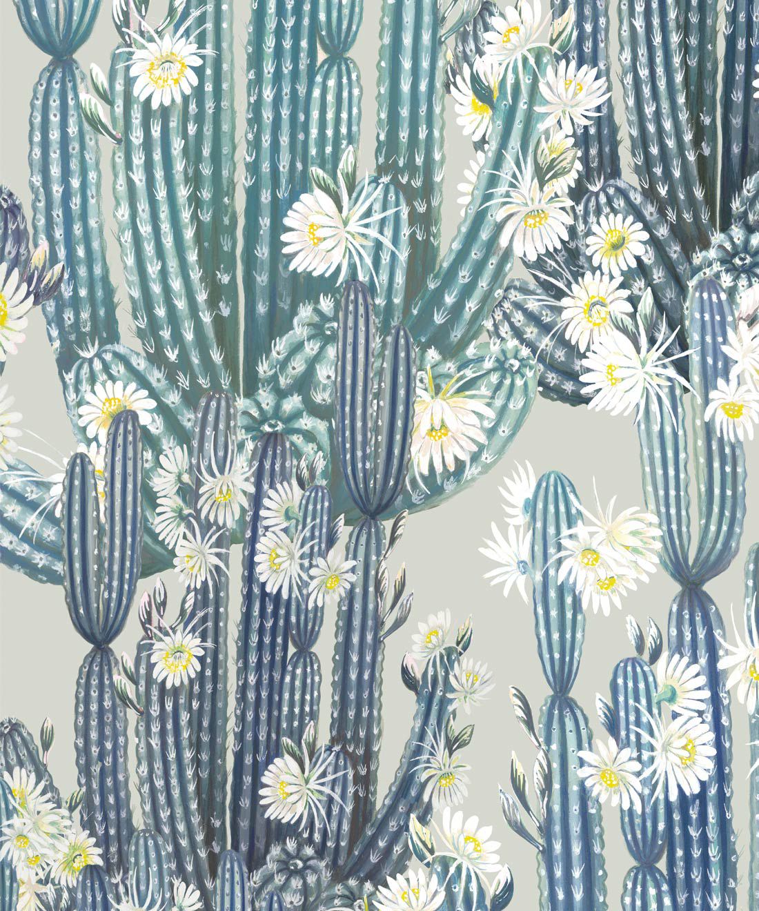  Kaktus Hintergrundbild 1100x1320. San Pedro Wallpaper • Cactus Wallpaper UK