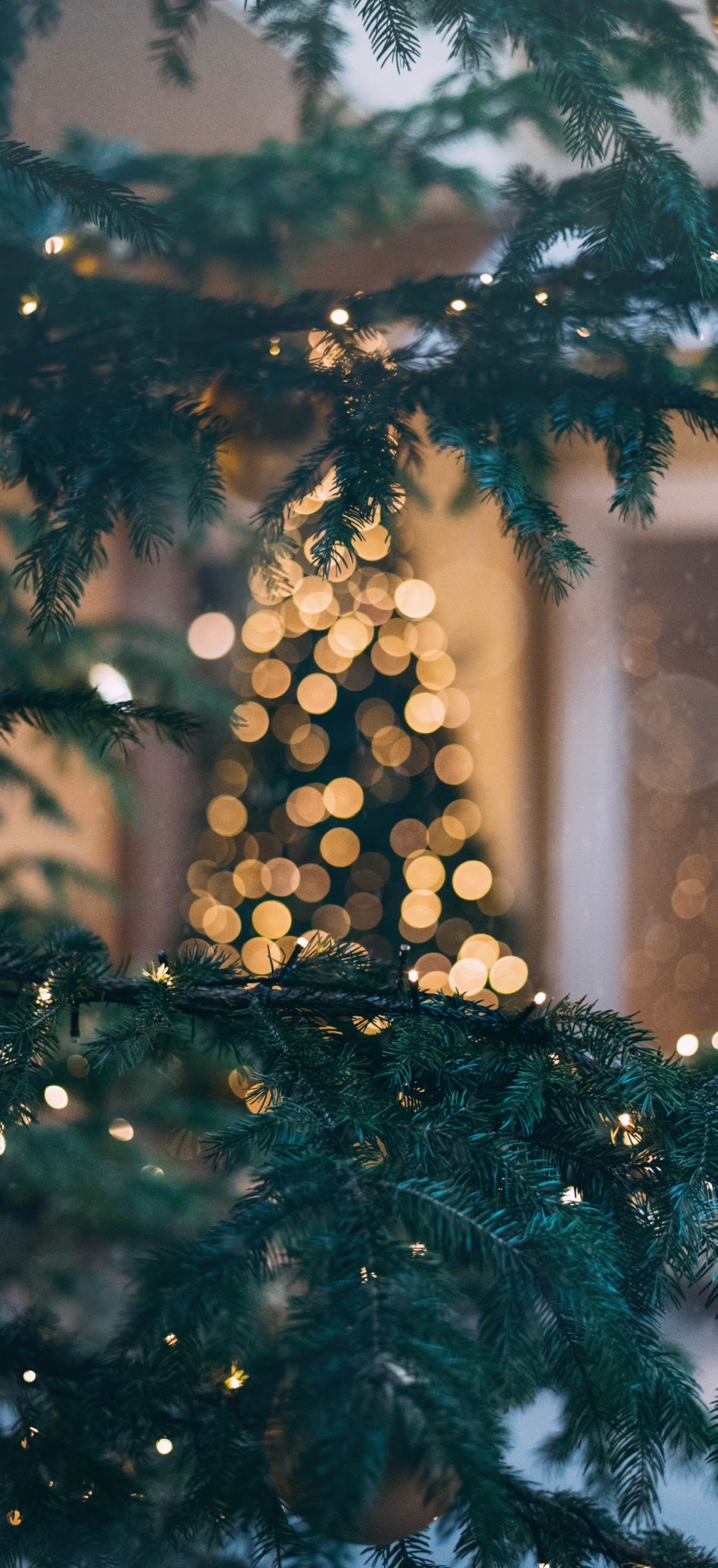  Weihnacht Hintergrundbild 1290x2814. Kostenlose Hintergrundbilder Neujahr, Ästhetik, Kunst, Weihnachtsbaum, Christmas Ornament, Bilder Für Ihren Desktop Und Fotos