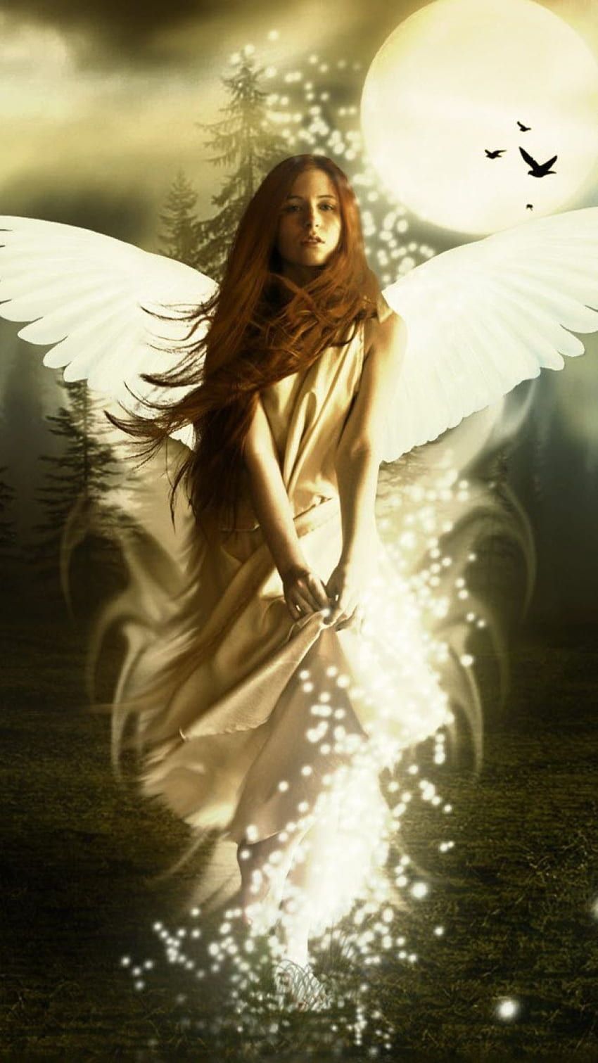  Wunderschöne Engel Hintergrundbild 850x1511. Engel Für Handy HD Handy Hintergrundbild