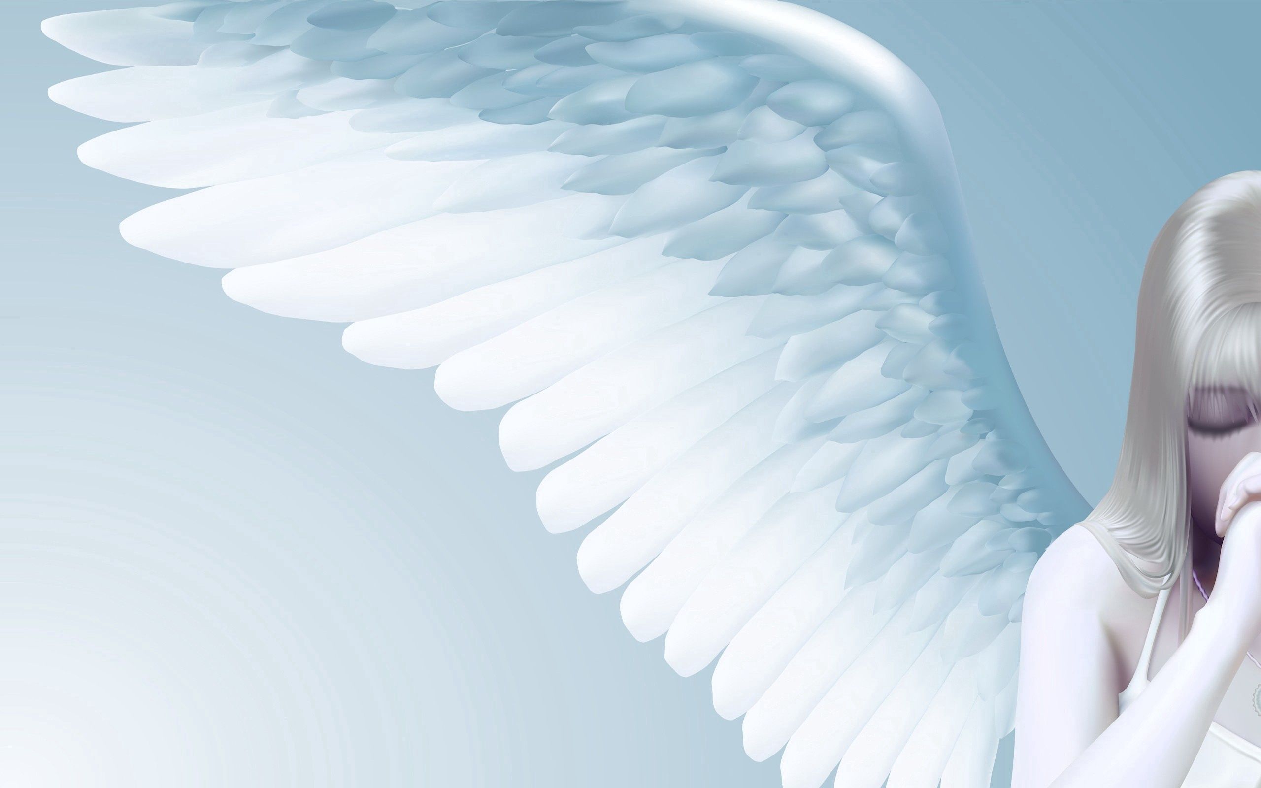  Wunderschöne Engel Hintergrundbild 2560x1600. Laden Sie Das Engel Hintergrundbild Für Ihr Handy In Hochwertigen, Hintergrundbildern Engel Kostenlos Herunter