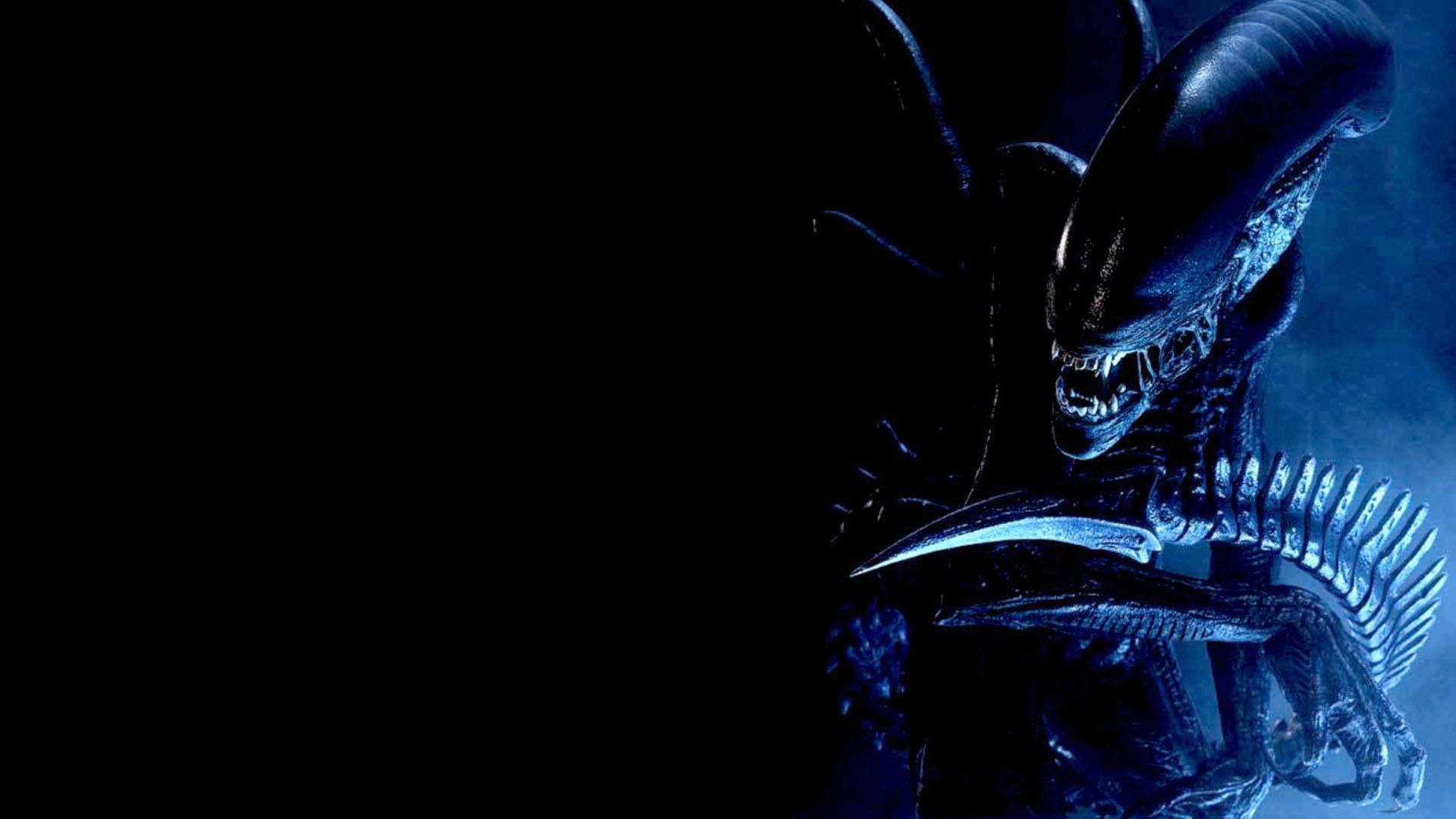  Predator Hintergrundbild 1920x1080. Alien Vs Predator Digital Wallpaper