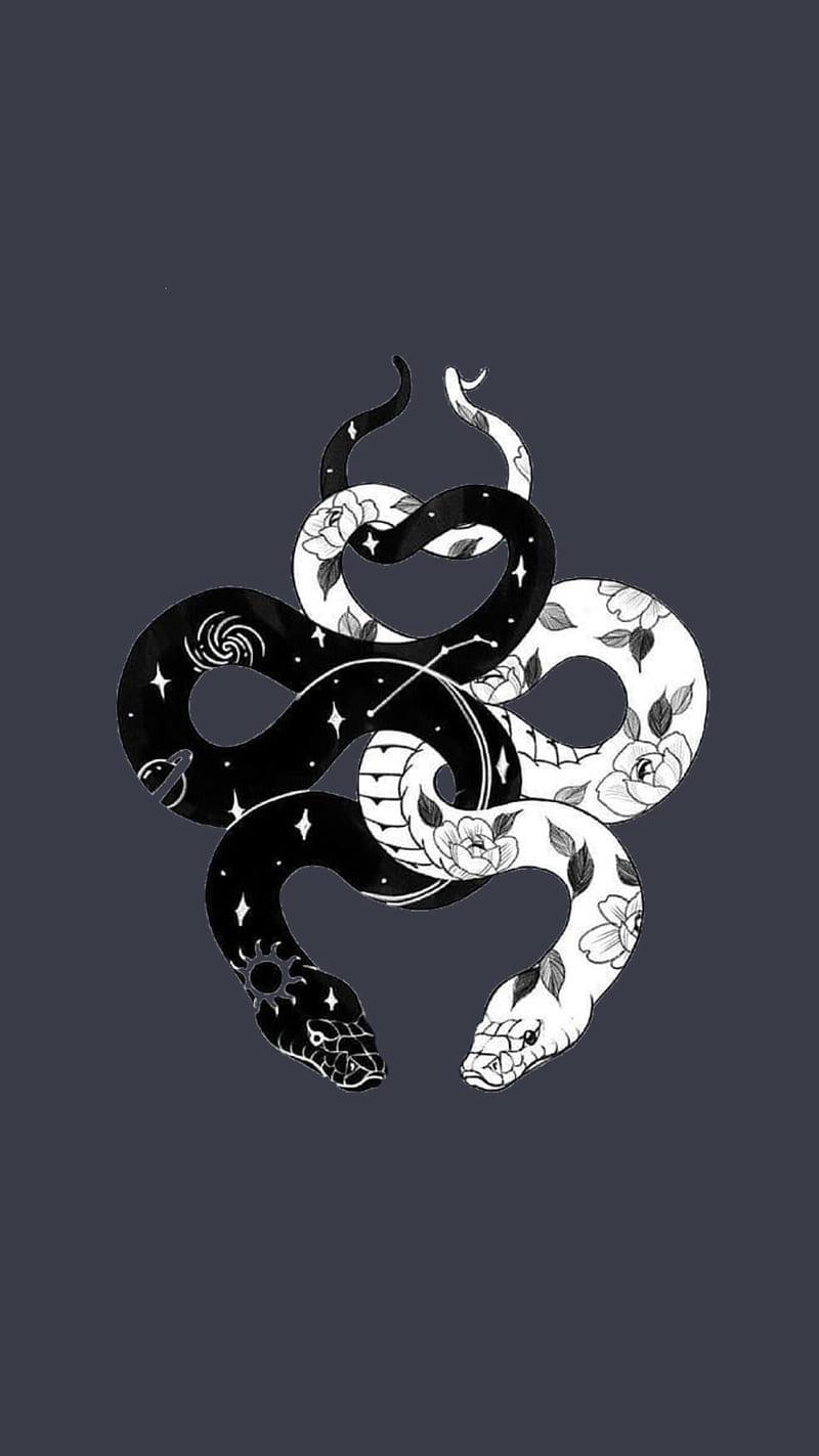  Yin Yang Hintergrundbild 800x1423. Ying Yang, Snakes, HD Phone Wallpaper