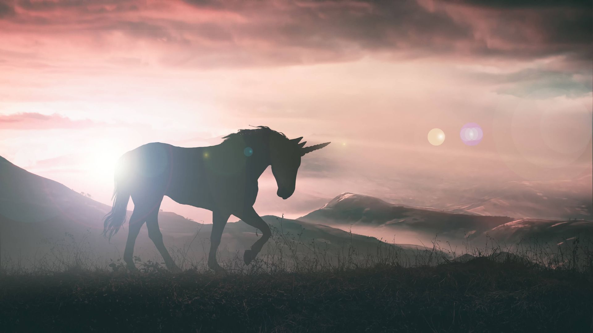  Einhorn Hintergrundbild 1920x1079. Fototapete bei Sonnenuntergang