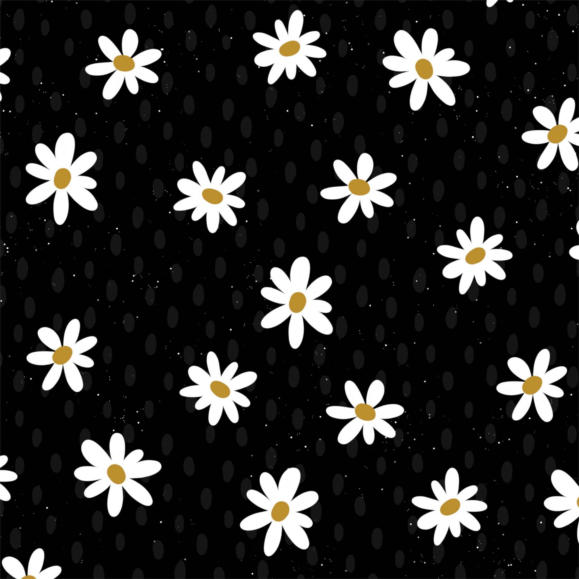  HD Blumen Hintergrundbild 1920x1920. Blumen 4k Wallpaper KOSTENLOS
