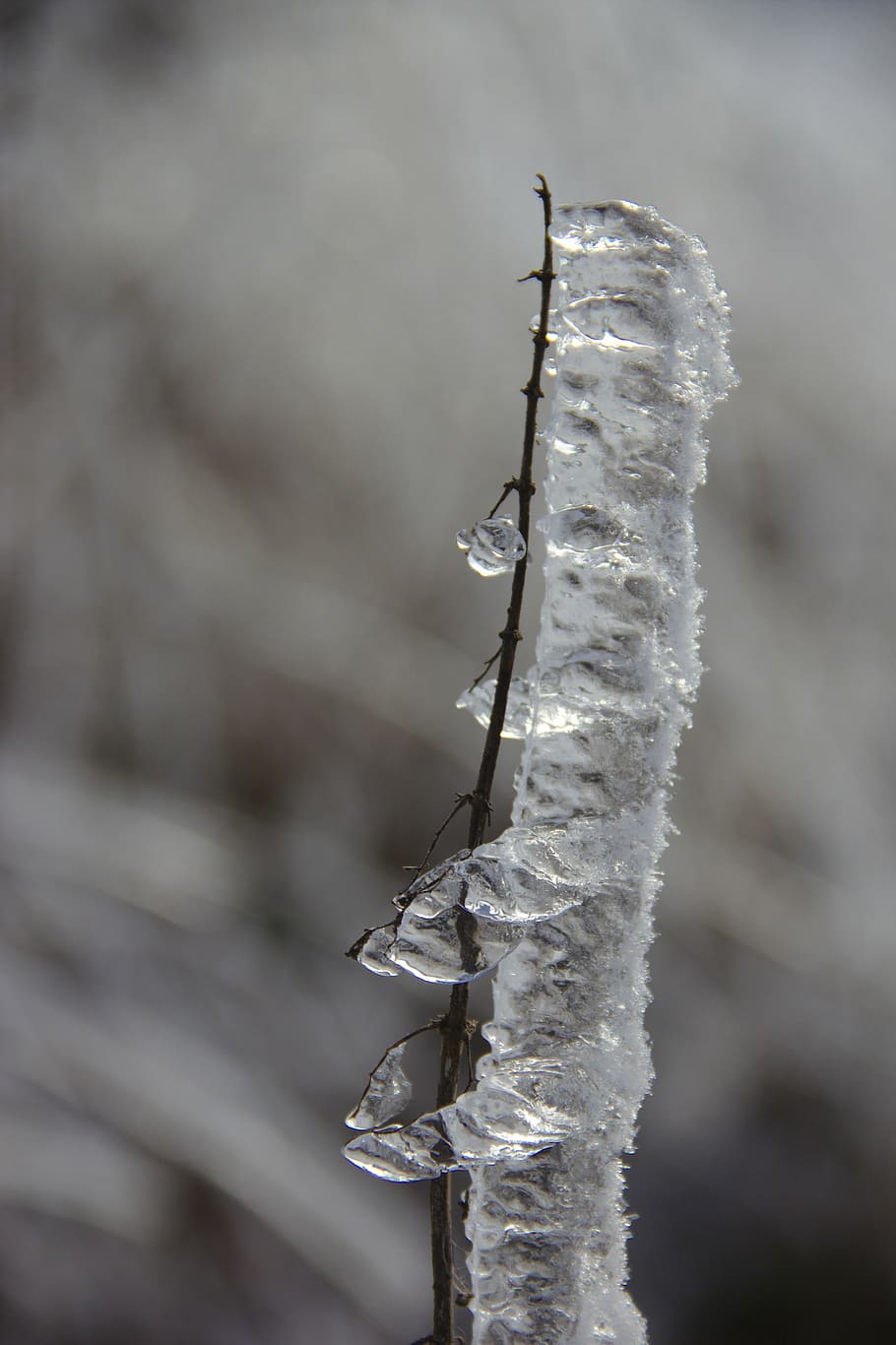  Eis Hintergrundbild 910x1366. 1280x720px. free download. HD wallpaper: eisraupe, ice on the branch, iced, aesthetic, branches, iced ast