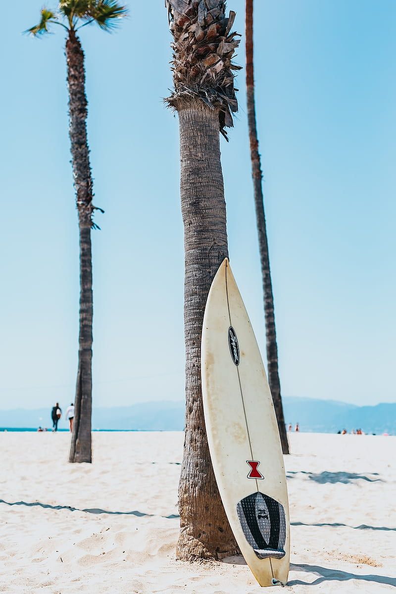  Surfen Hintergrundbild 800x1200. Surf Boards, Surfer Aesthetic, HD phone wallpaper