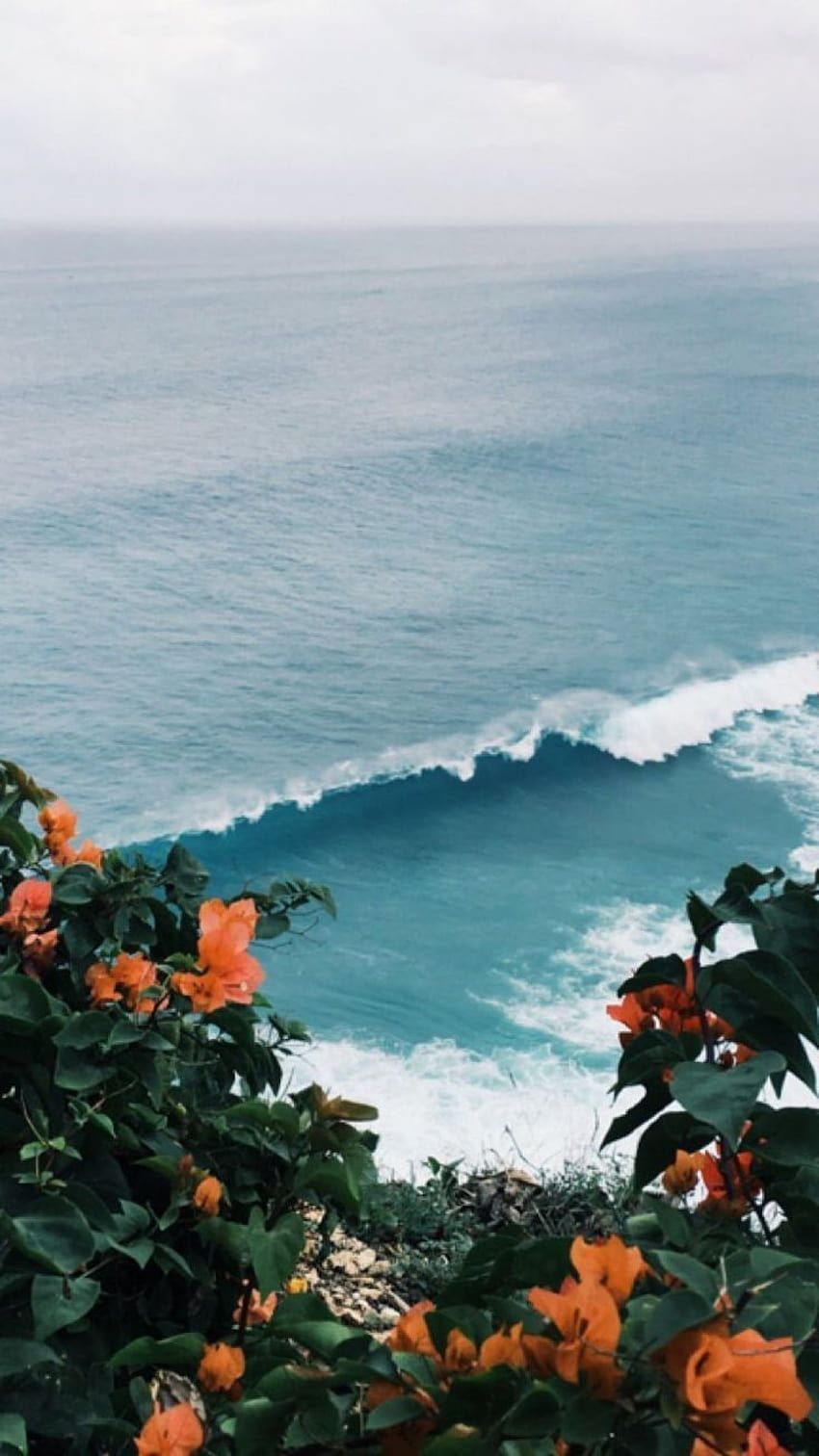  Surfen Hintergrundbild 850x1512. Chantilly, surf aesthetic HD phone wallpaper