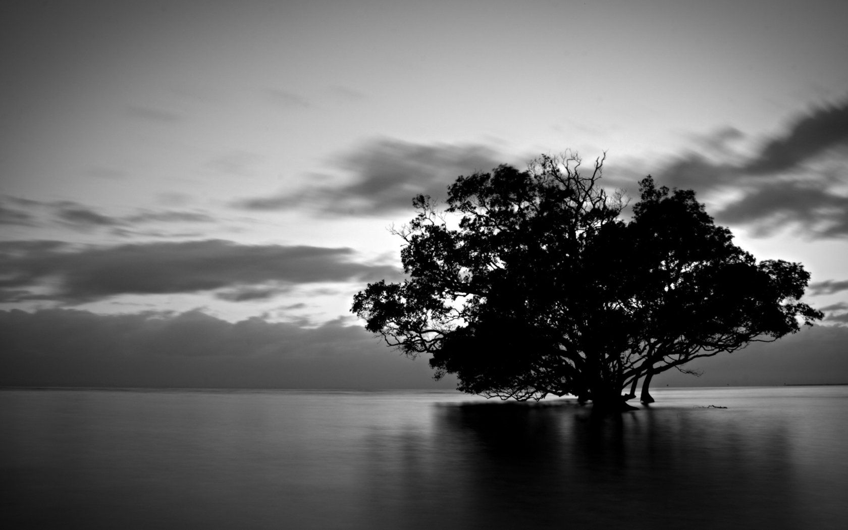 Weiß Hintergrundbild 1680x1050. Download Hintergrundbild Wasser, Natur, Baum, Wolken, Schwarz Weiß Die Auflösung 1680x1050